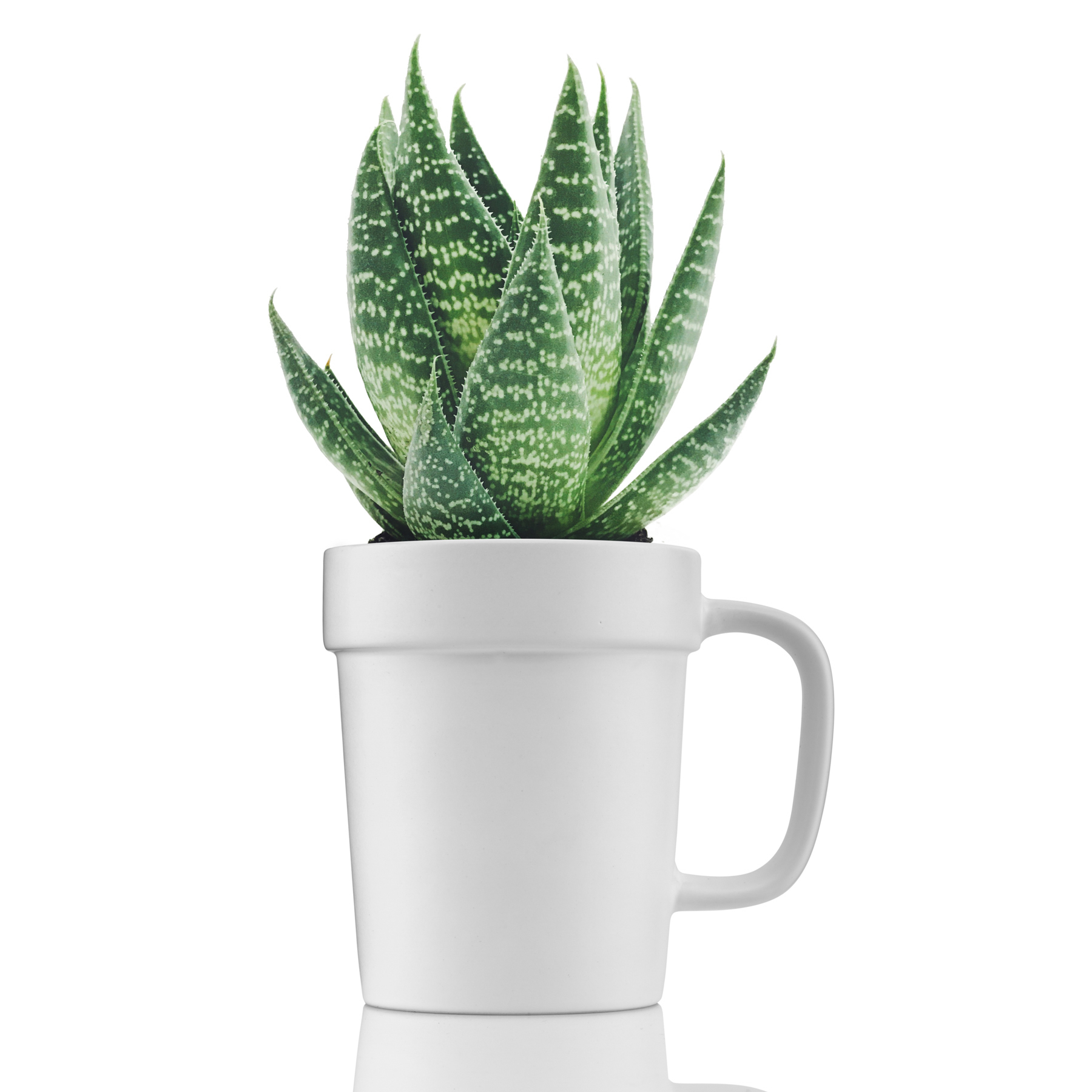 Picture of 16 oz Planter Mug