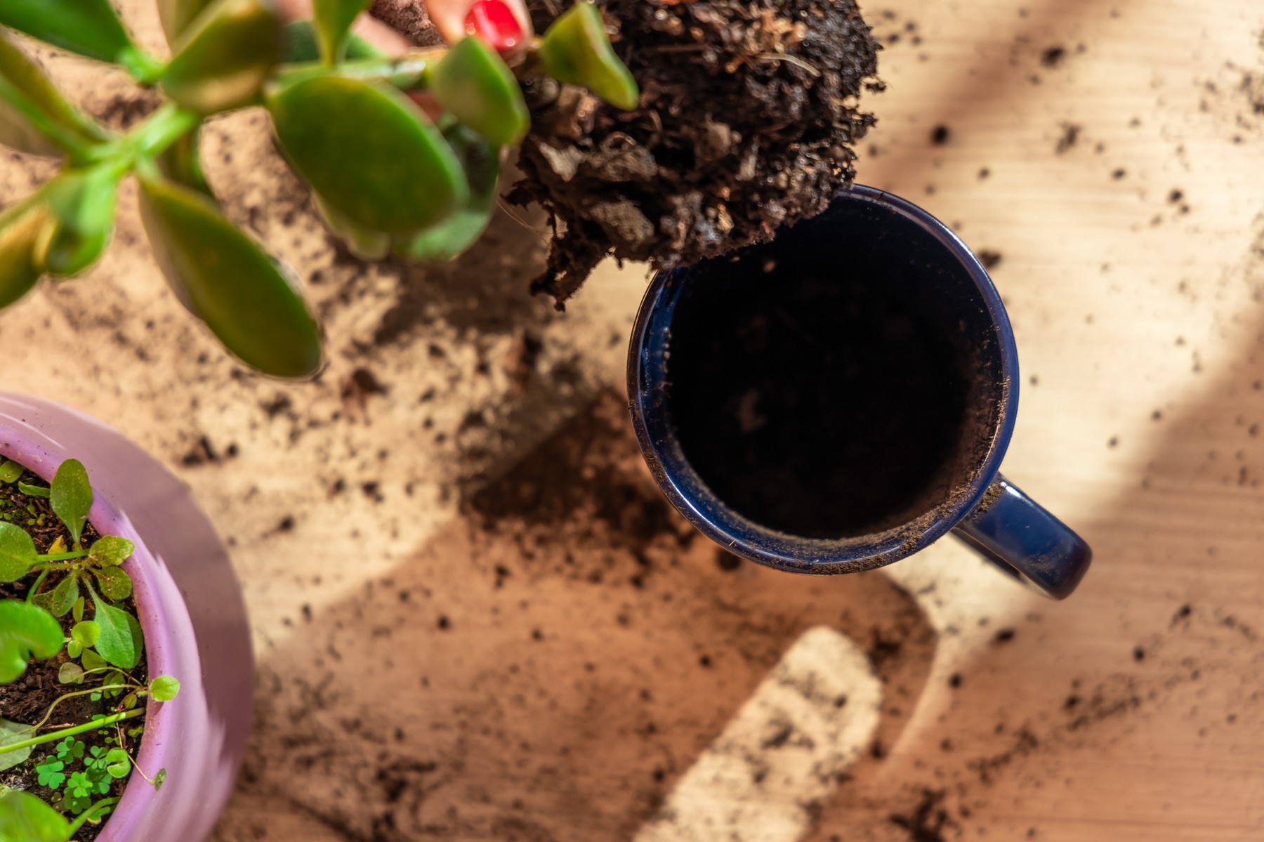 Picture of 16 oz Planter Mug