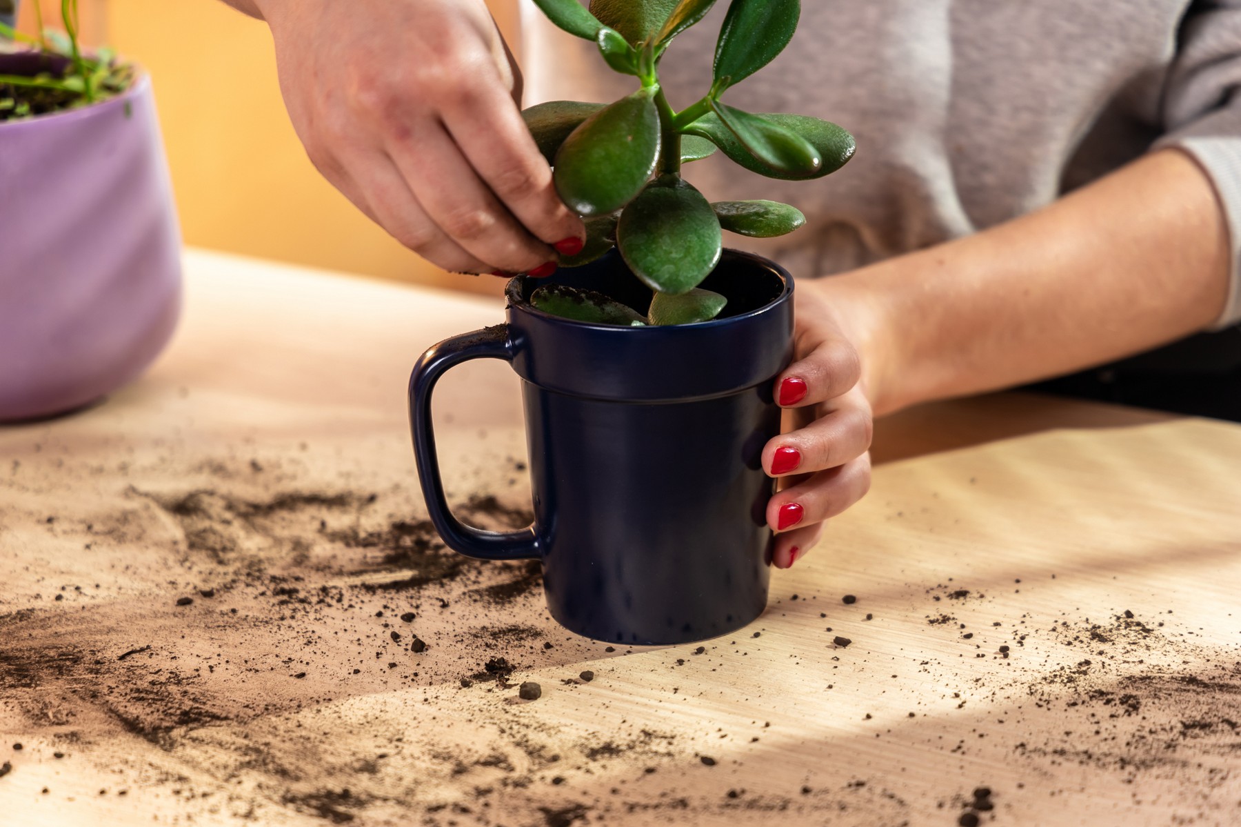 Picture of 16 oz Planter Mug