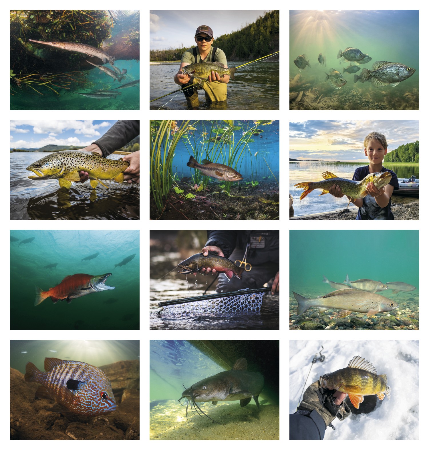 Picture of Good Value™ Fishing - Spiral Calendar