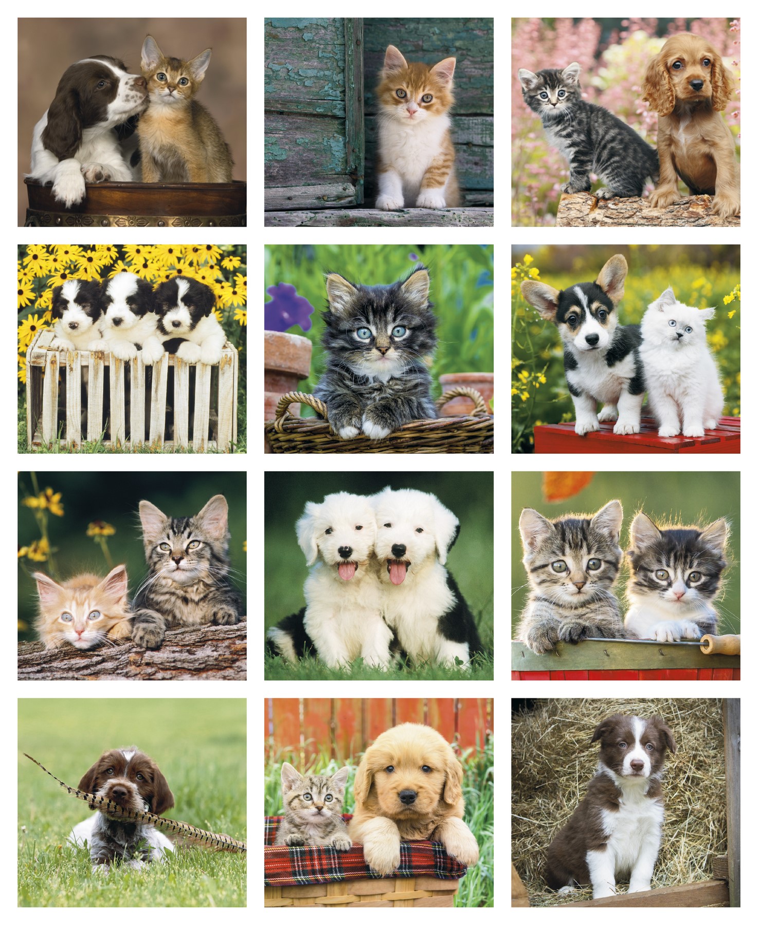 Picture of Good Value™ Puppies & Kittens - Mini Calendar
