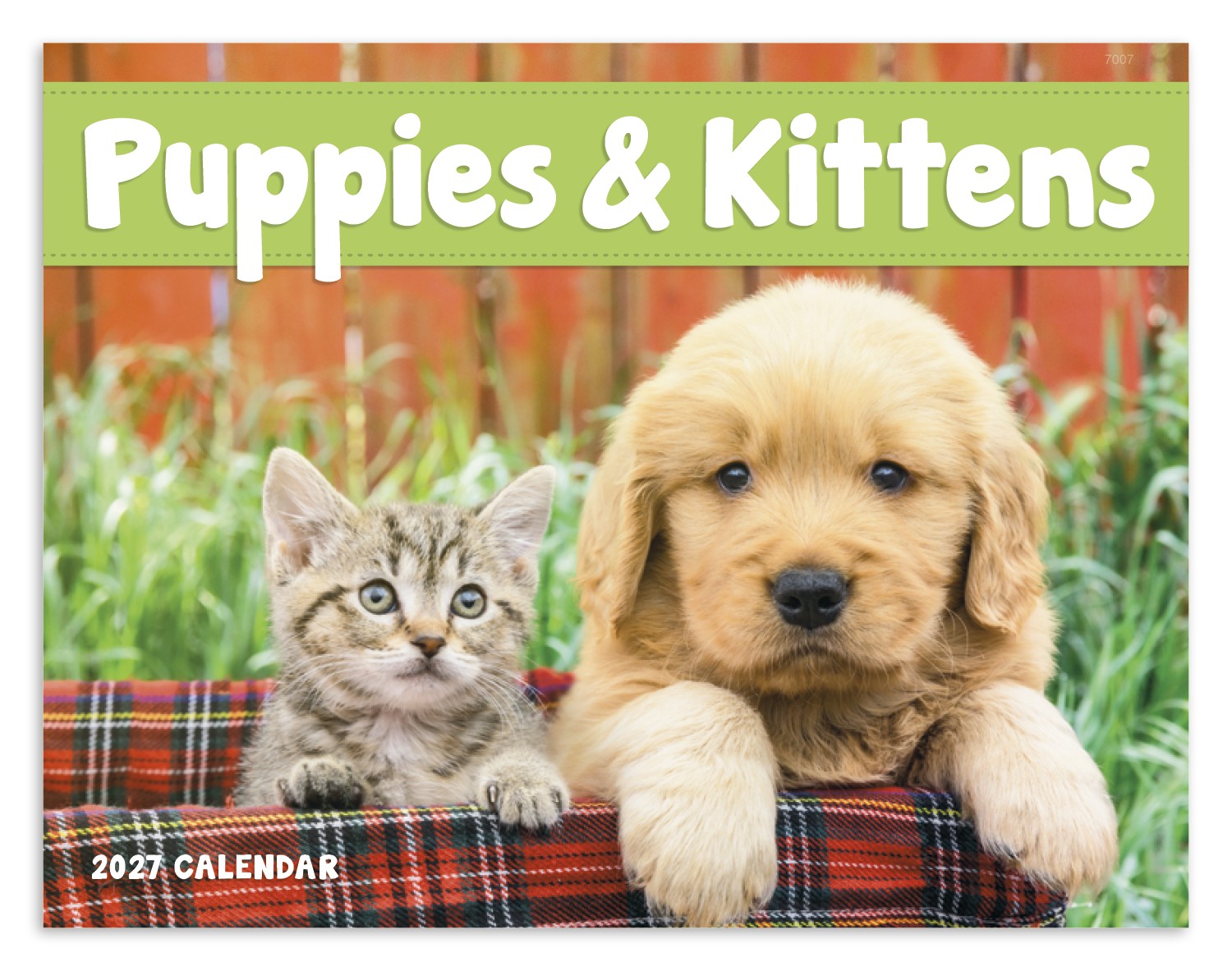 Picture of Good Value™ Puppies & Kittens - Window Calendar
