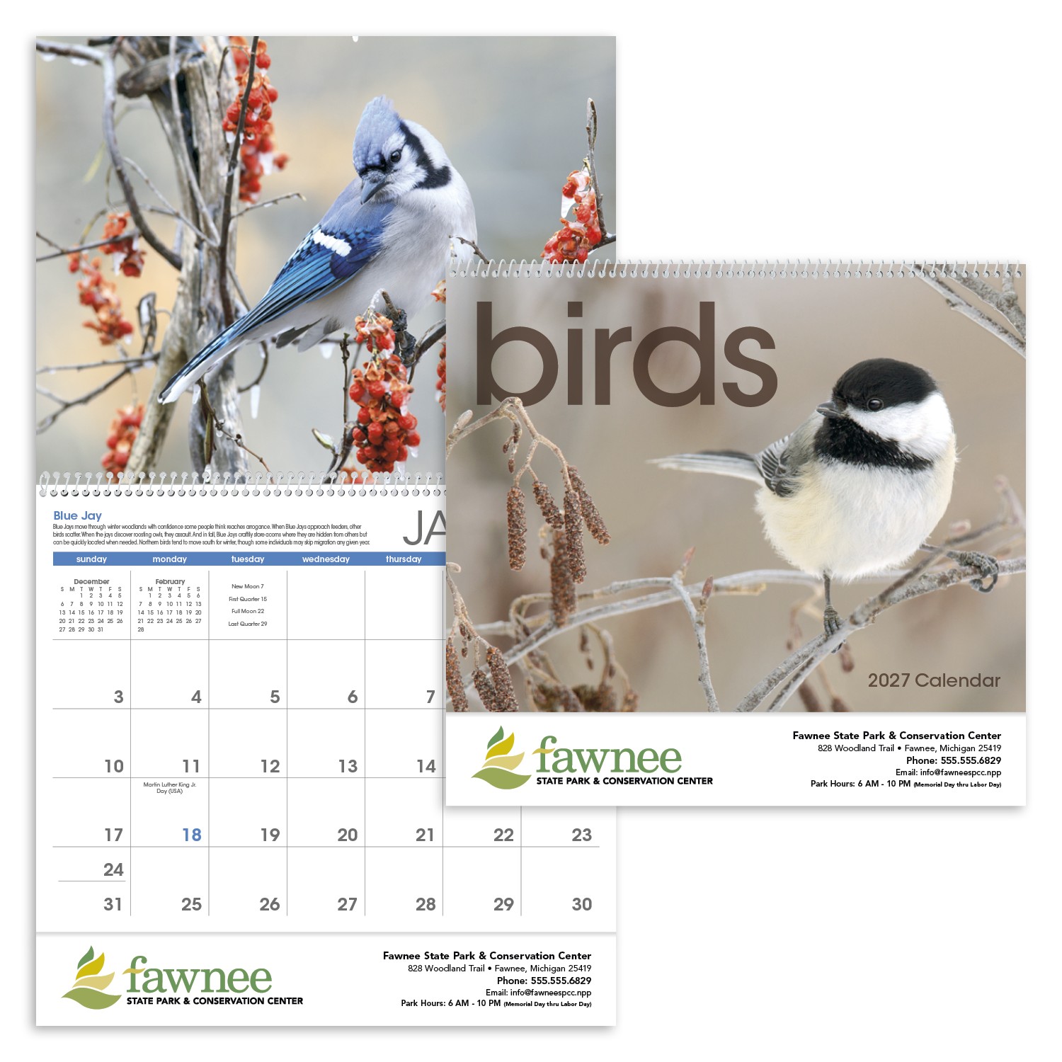 Picture of Triumph® Calendars Birds Calendar