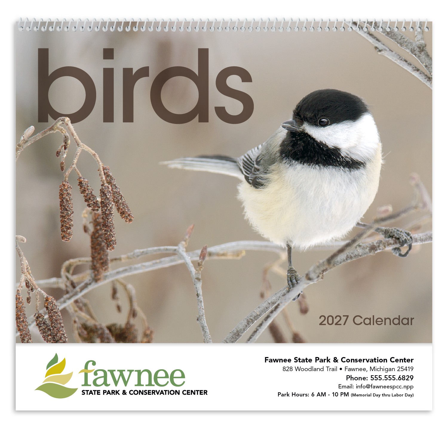 Picture of Triumph® Calendars Birds Calendar