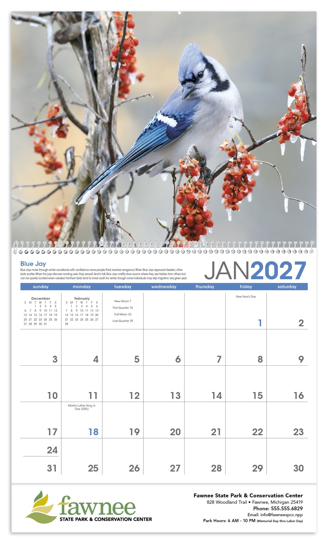 Picture of Triumph® Calendars Birds Calendar