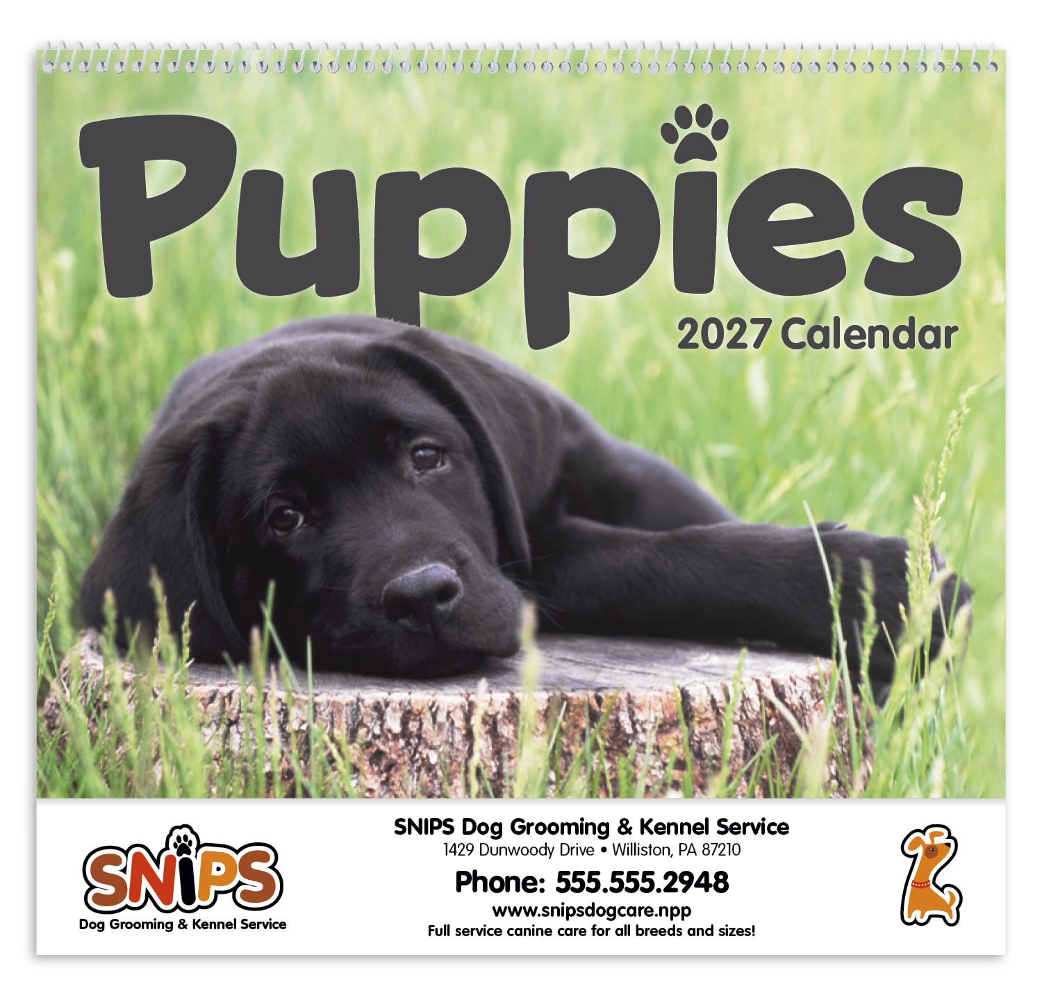 Picture of Triumph® Calendars Puppies Calendar