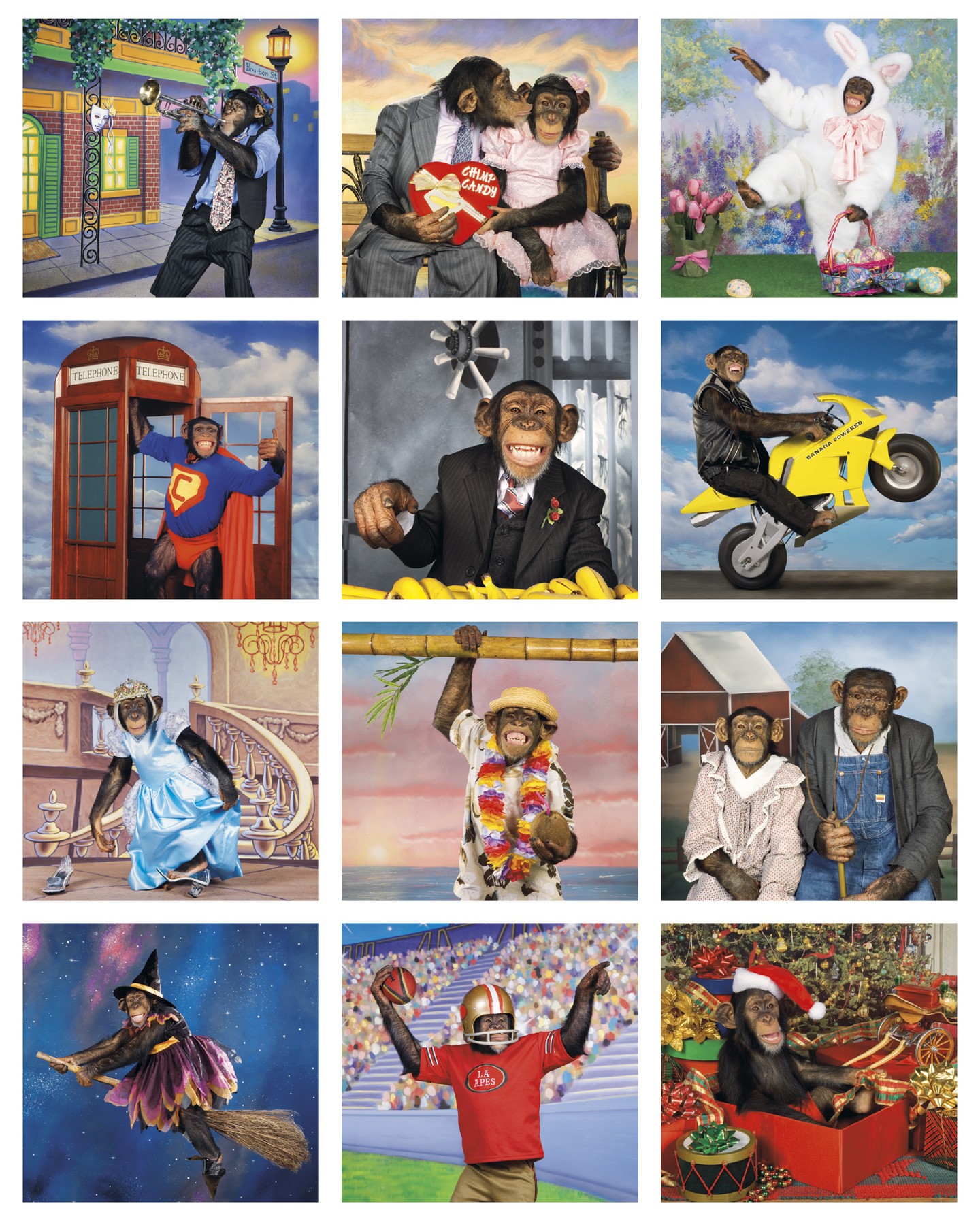 Picture of Triumph® Calendars Monkey Business Calendar