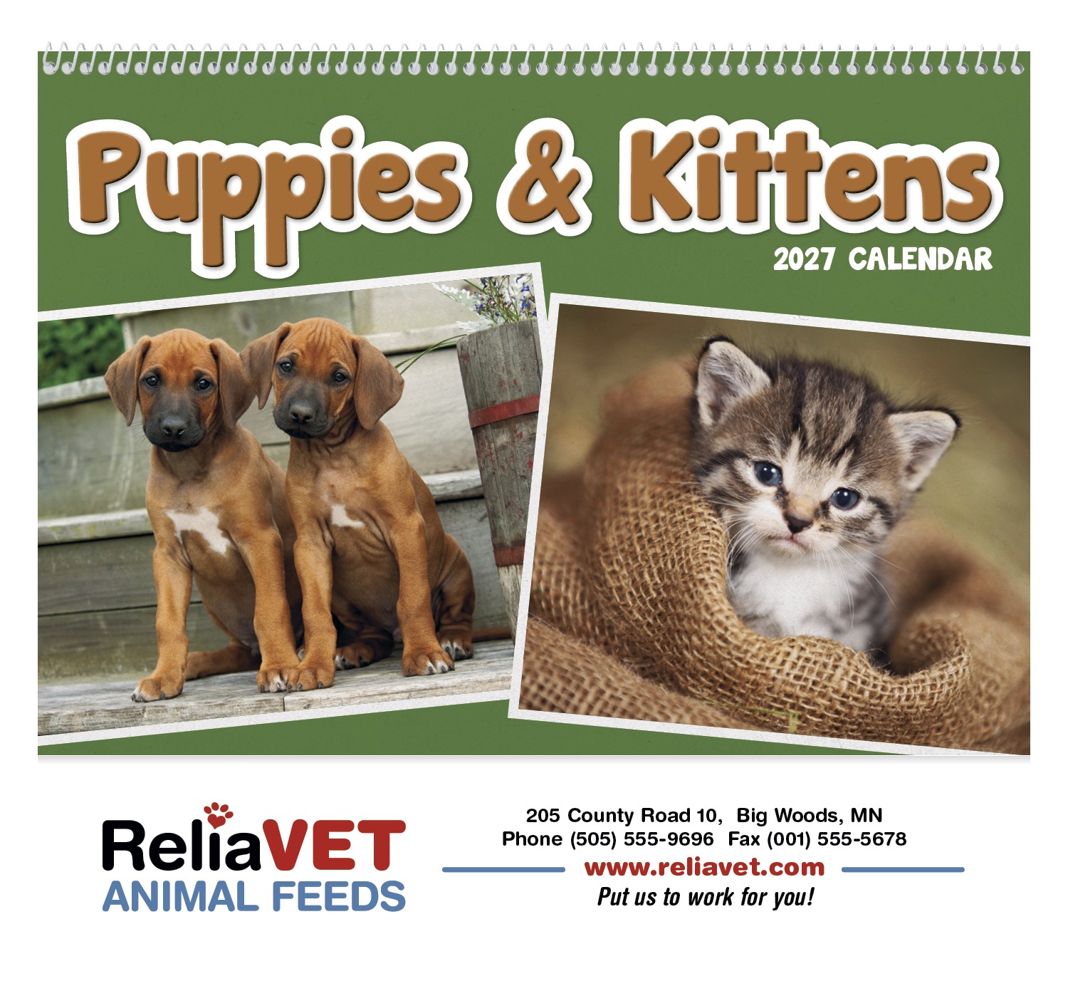 Picture of Triumph® Calendars Puppies & Kittens Pocket Calendar