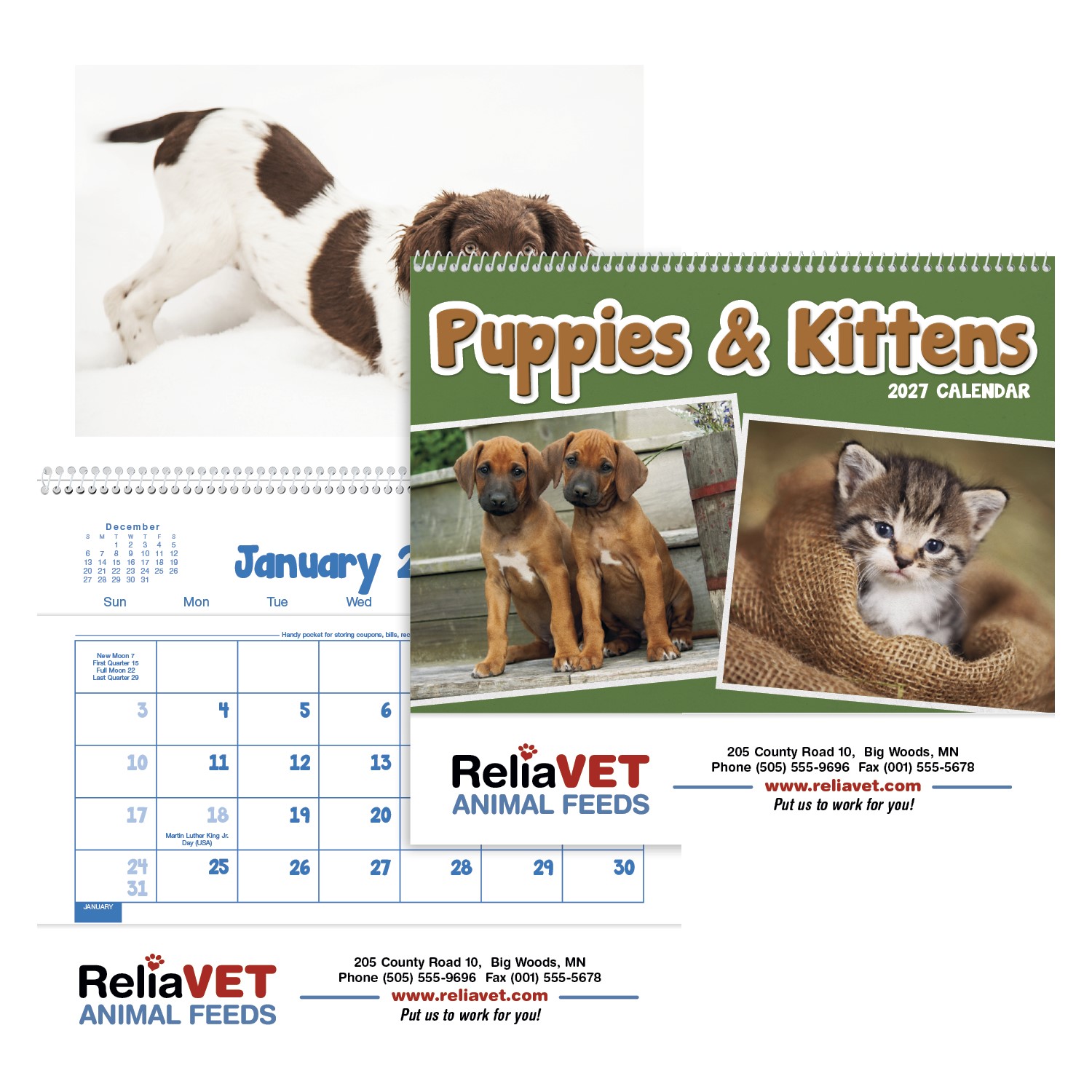 Picture of Triumph® Calendars Puppies & Kittens Pocket Calendar