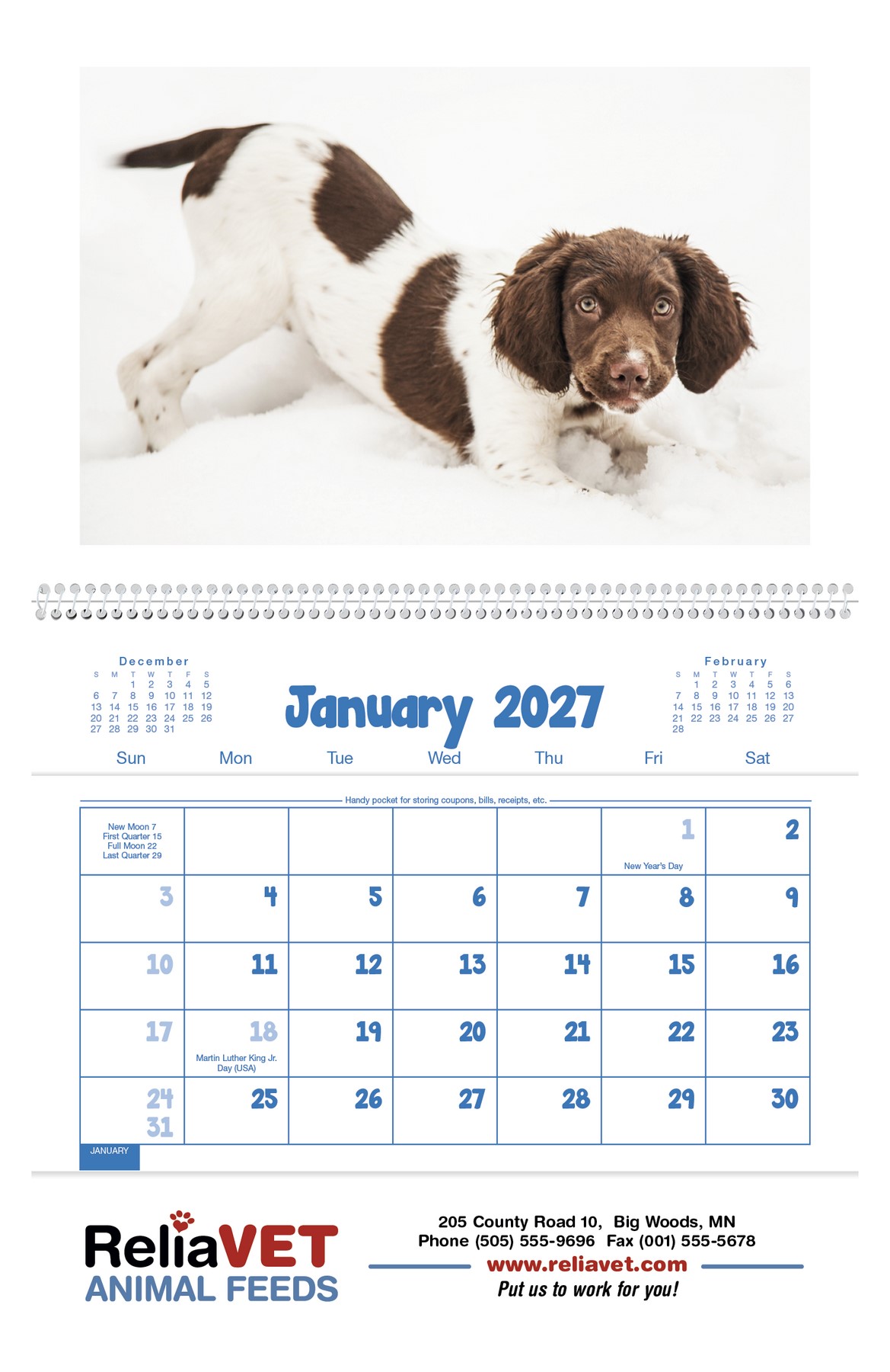 Picture of Triumph® Calendars Puppies & Kittens Pocket Calendar