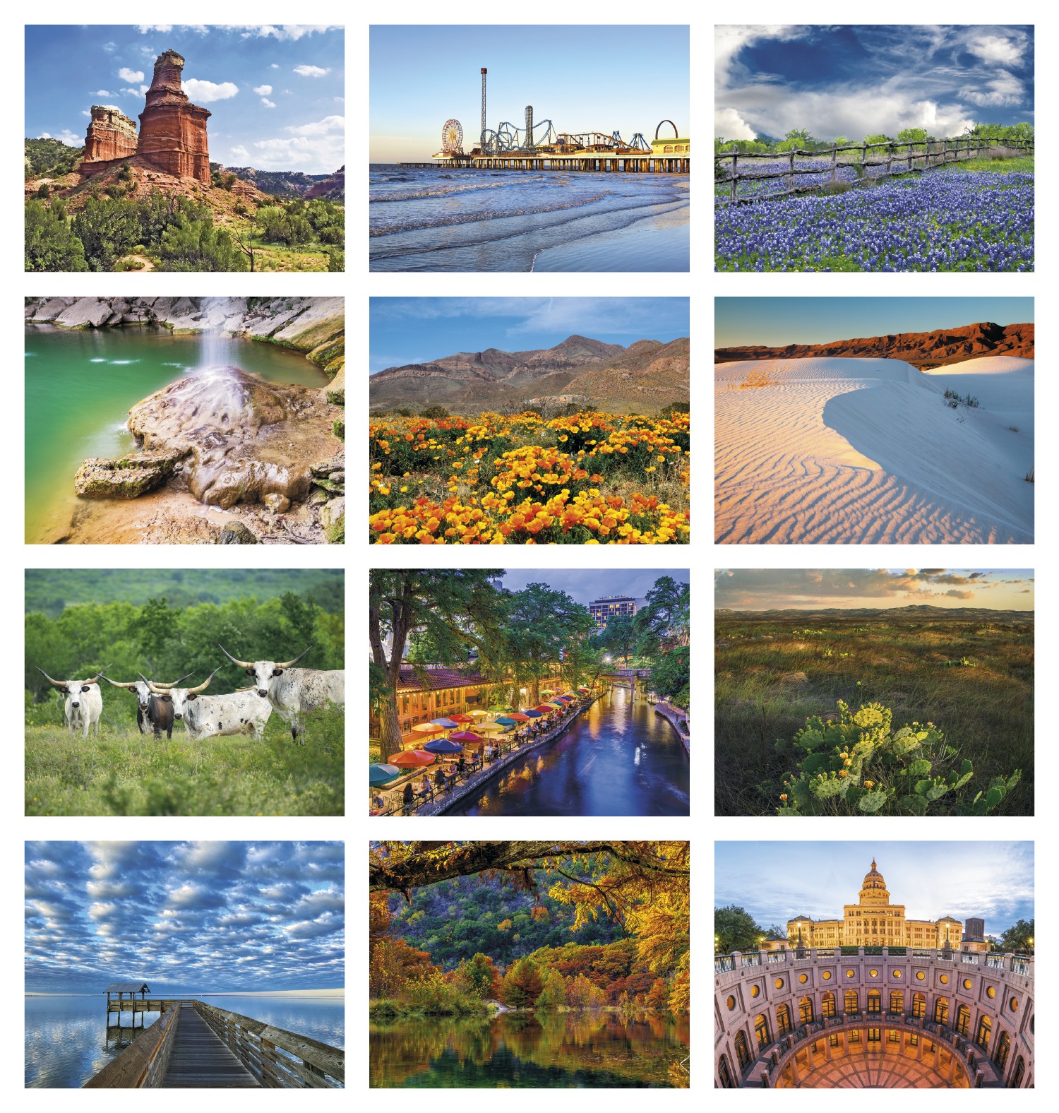 Picture of HotLine® Products Texas Appointment Calendar - Spiral