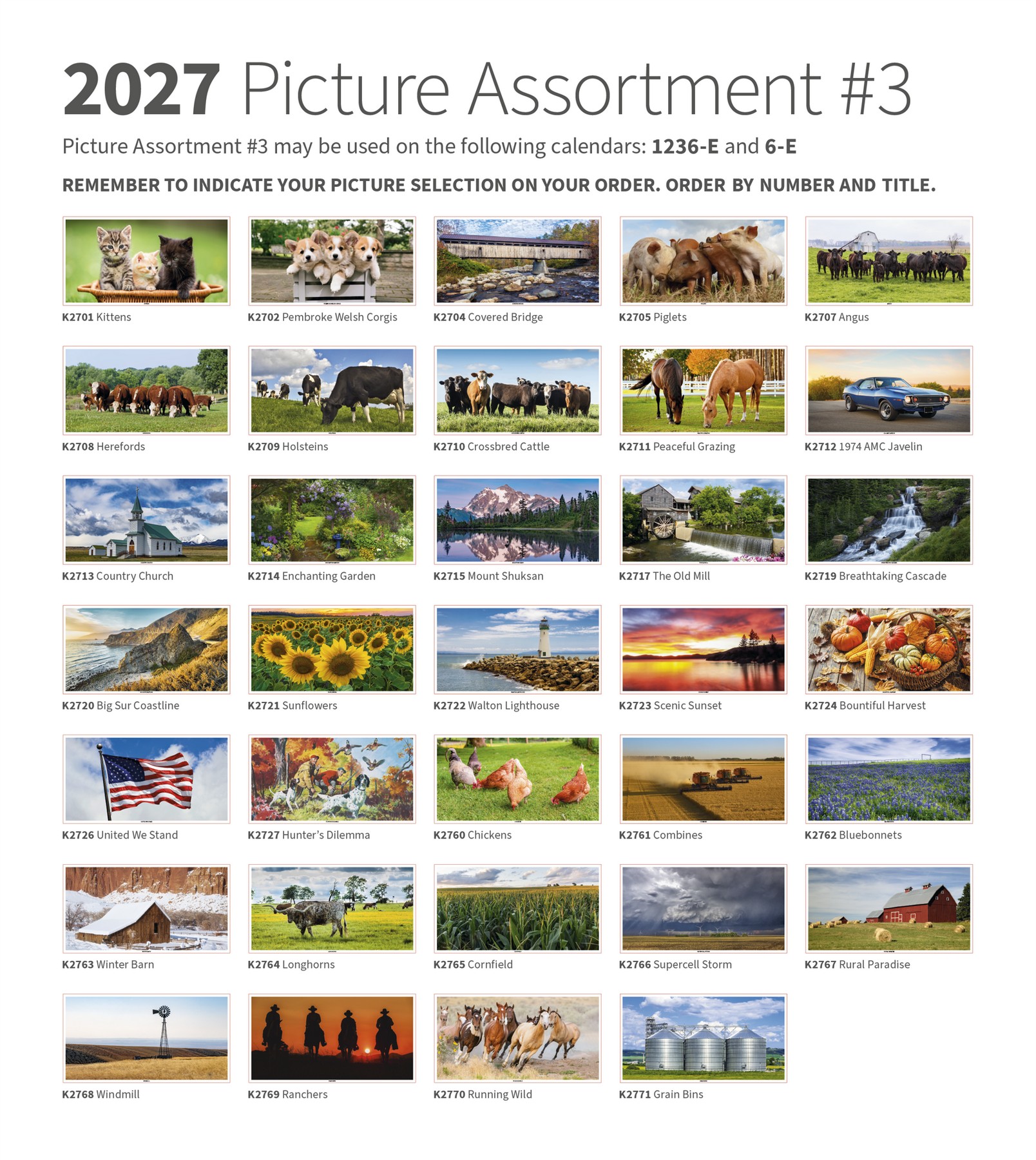 Picture of Skinner & Kennedy® Large Everyday Farm Memo