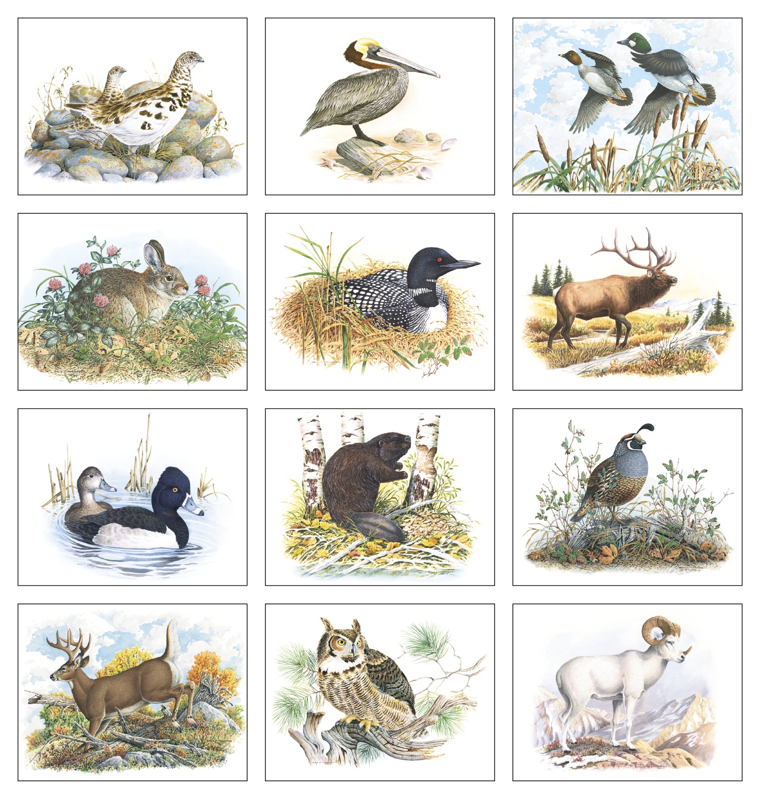 Picture of Good Value™ Wildlife Trek - Stapled Calendar