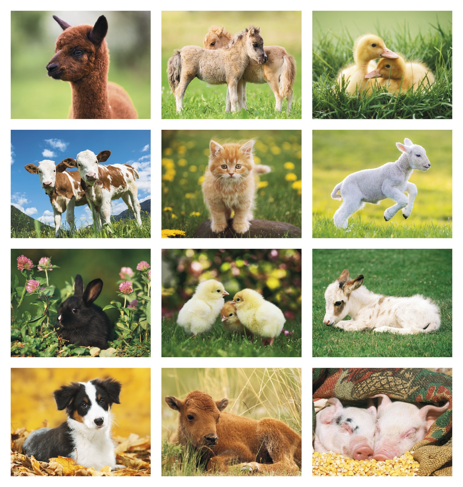 Picture of Good Value™ Baby Farm Animals - Stapled Calendar