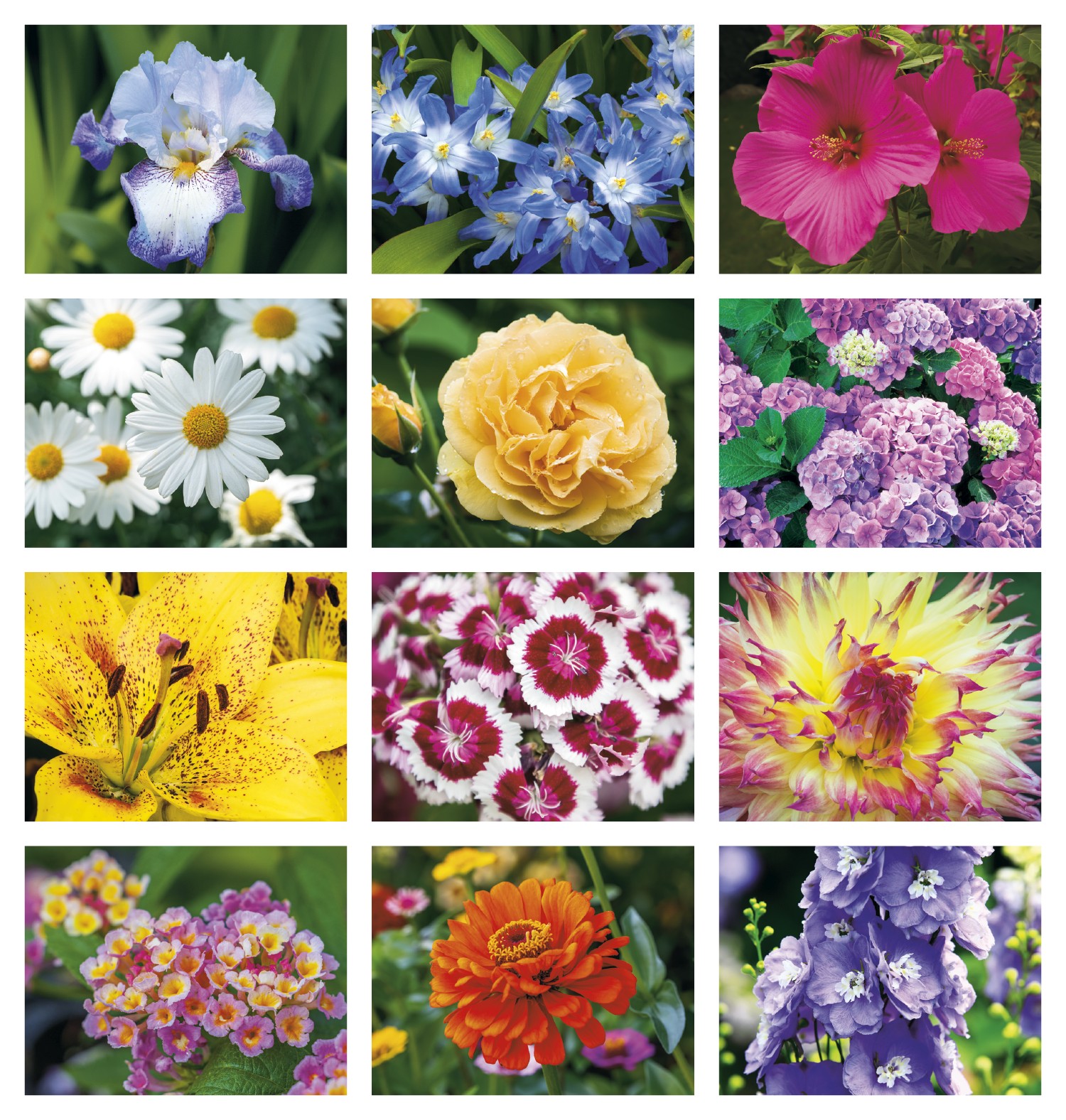 Picture of Good Value™ Flowers - Stapled Calendar