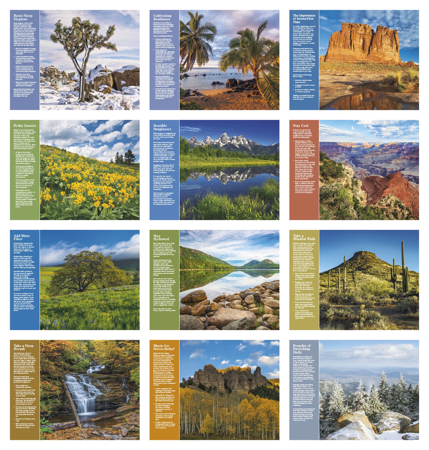 Picture of Good Value™ Healthy Living - Window Calendar