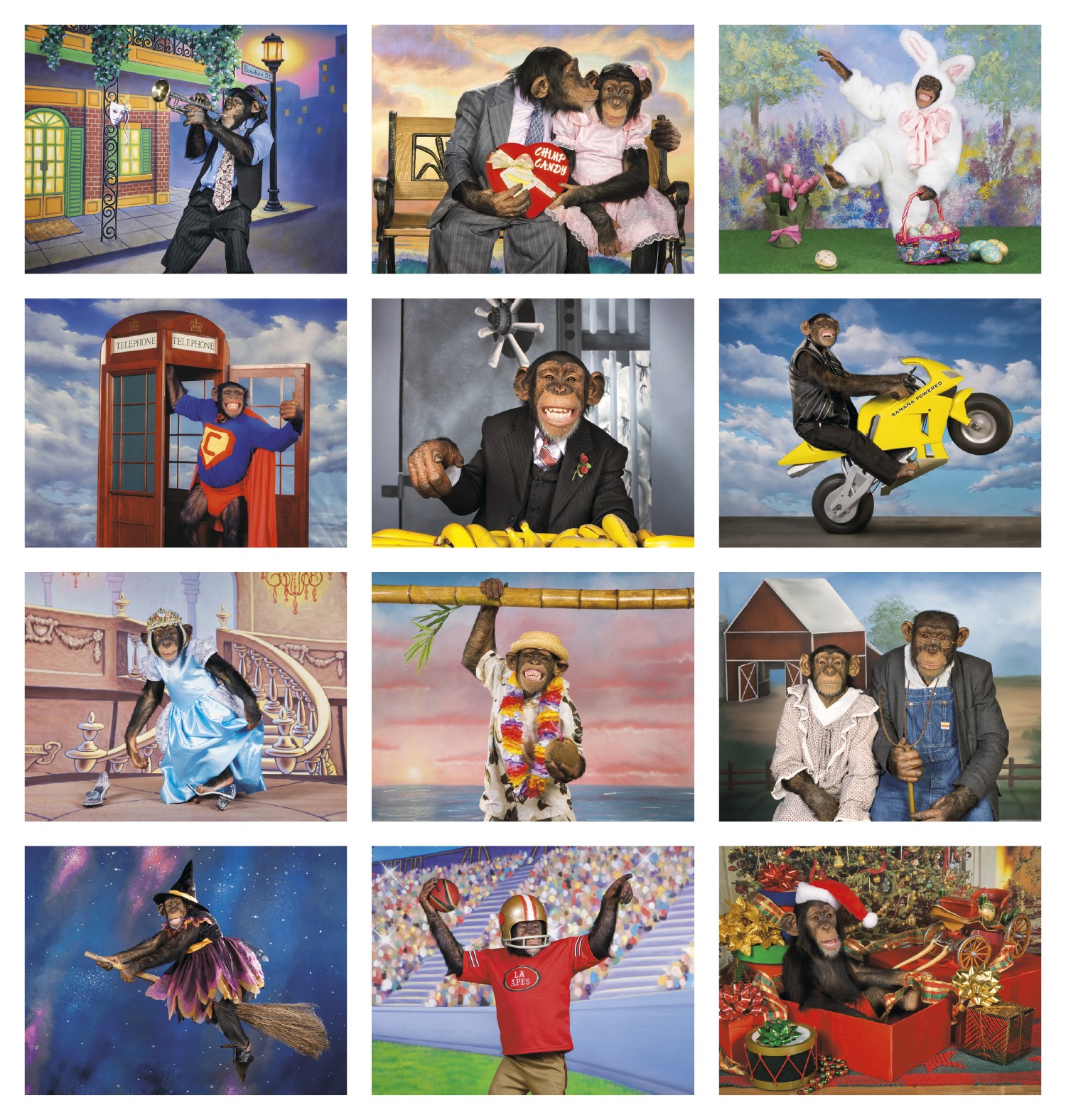 Picture of Triumph® Calendars Monkey Business Calendar