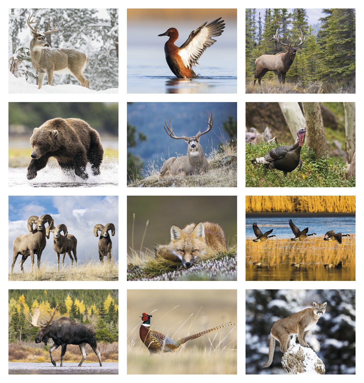 Picture of Triumph® Calendars Southcentral Sportsman Calendar