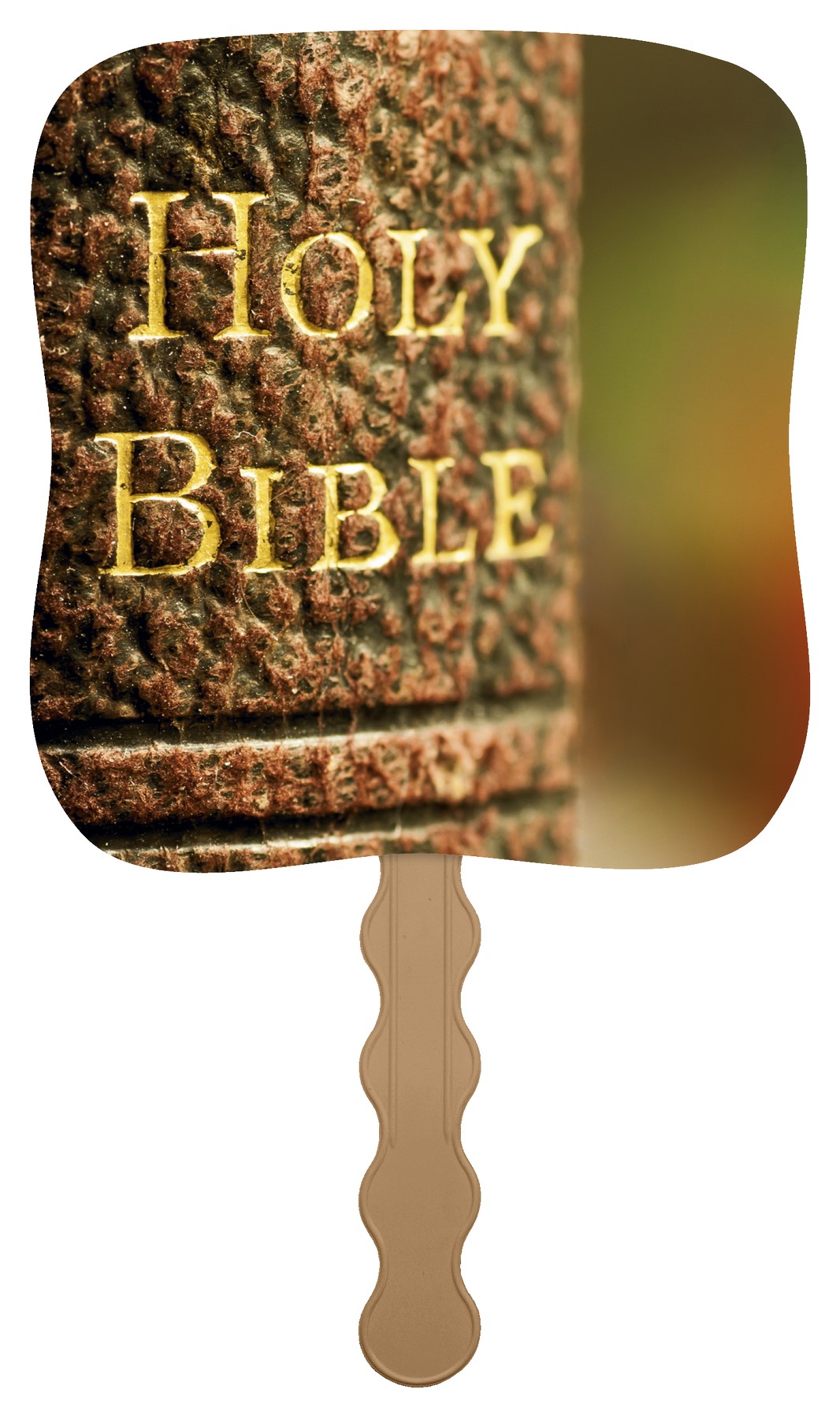 Picture of Skinner & Kennedy® Holy Bible - Pictorial Fan