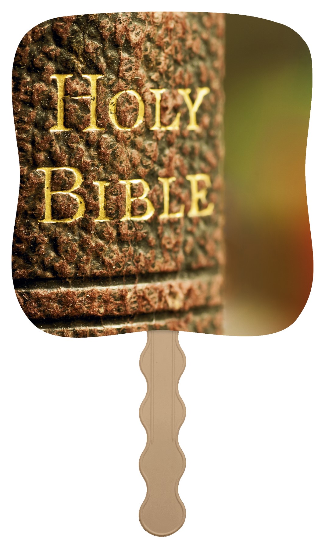 Picture of Skinner & Kennedy® Holy Bible - Pictorial Fan