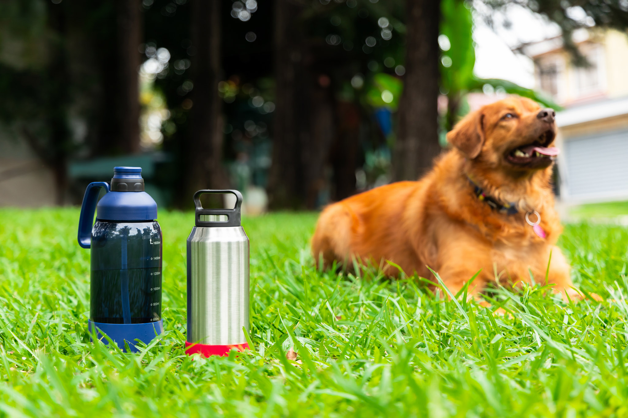 Picture of 32 oz Growler Bottle w/Silicone Bowl