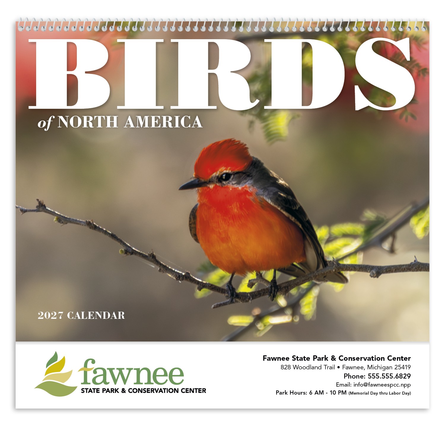 Picture of Good Value™ Birds of North America - Spiral Calendar