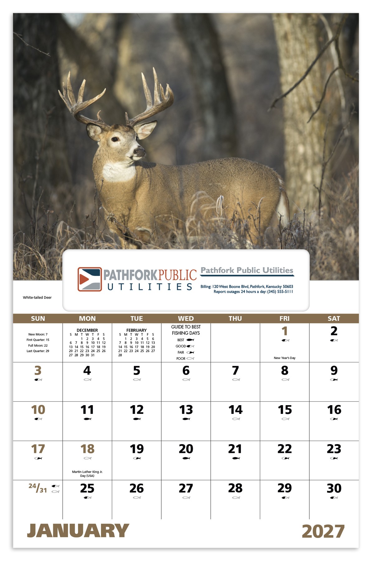 Picture of Good Value™ Wildlife Portraits - Window Calendar