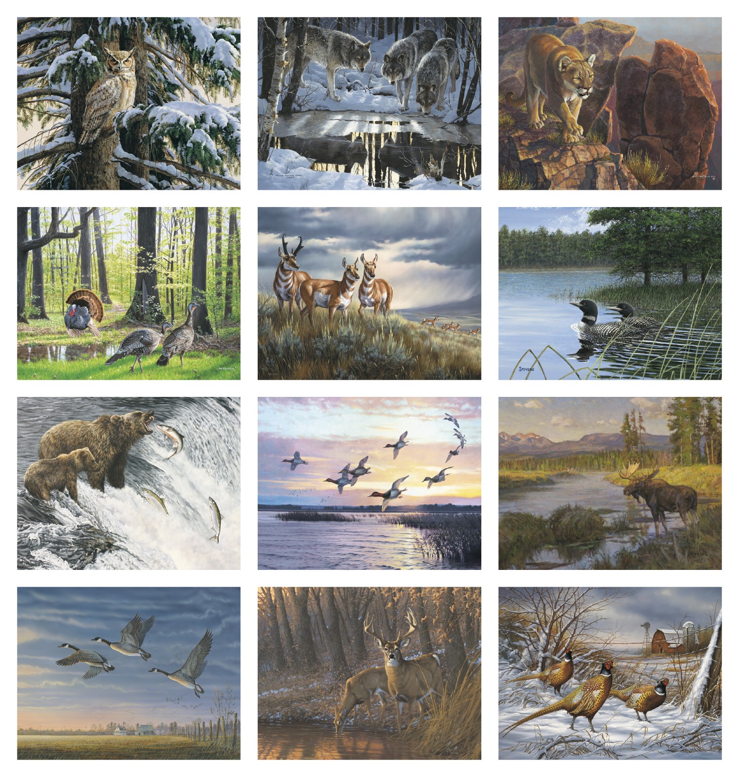 Picture of HotLine® Products Wildlife Collection Appointment Calendar - Stapled