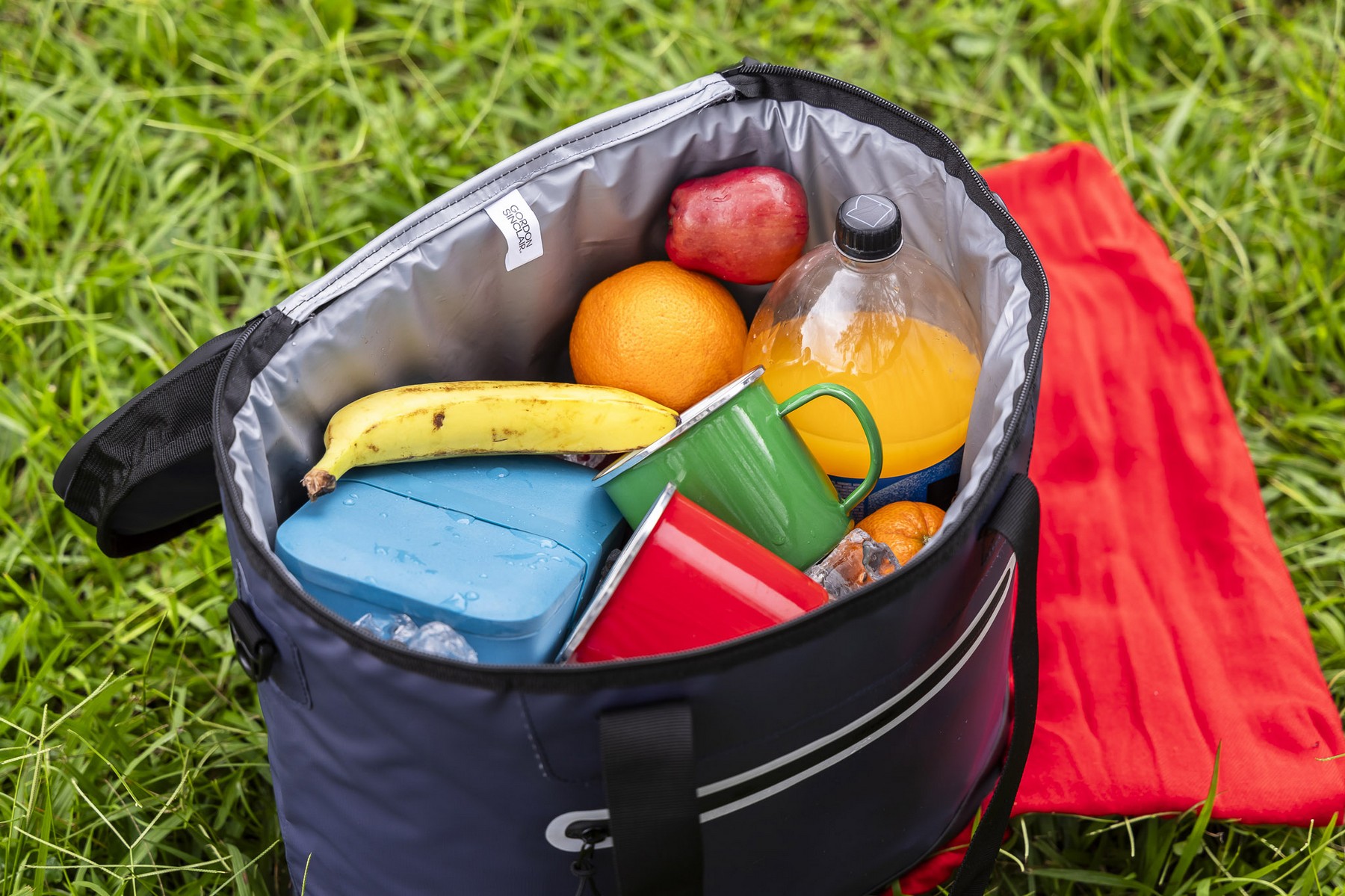 Picture of Heavy-Duty Friz XL Cooler Bag