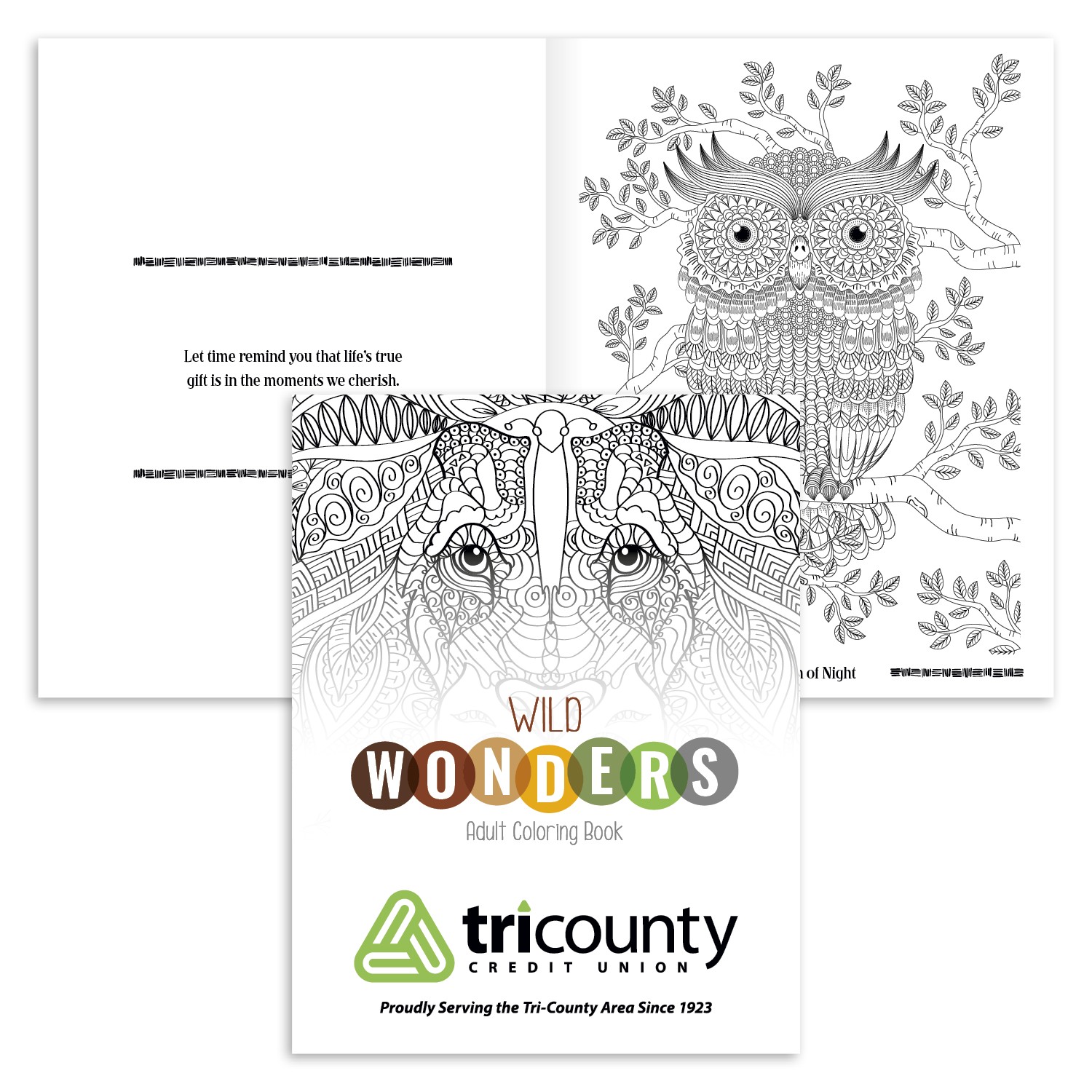 Picture of Good Value™ Wild Wonders Adult Coloring Book