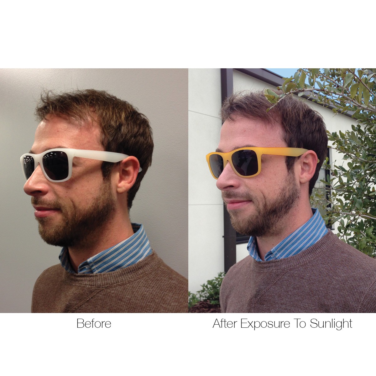 Picture of Color Changing Malibu Sunglasses