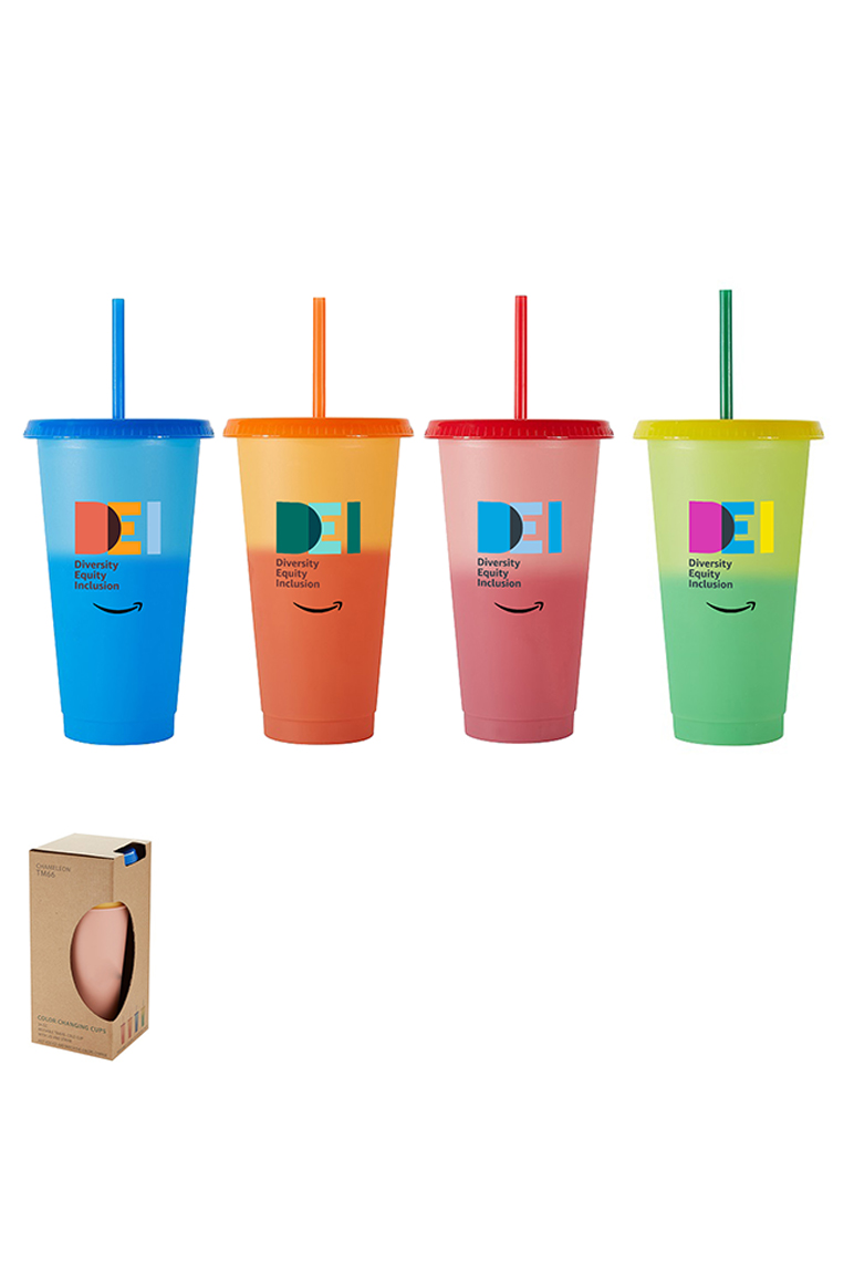 Picture of Chameleon 4 PC Set