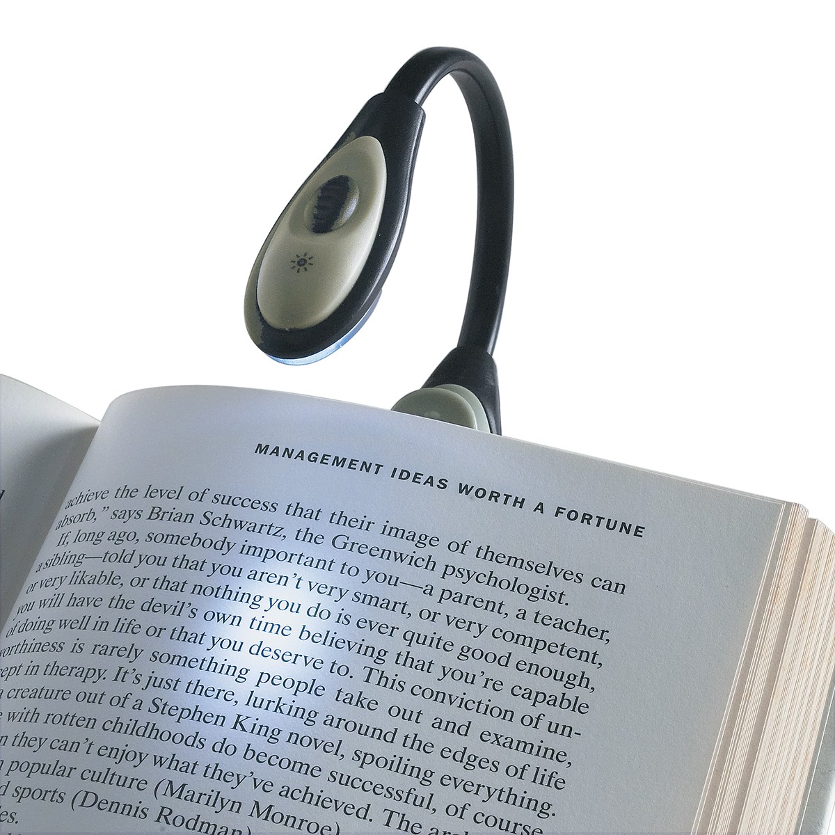 Picture of Bendable Book Light