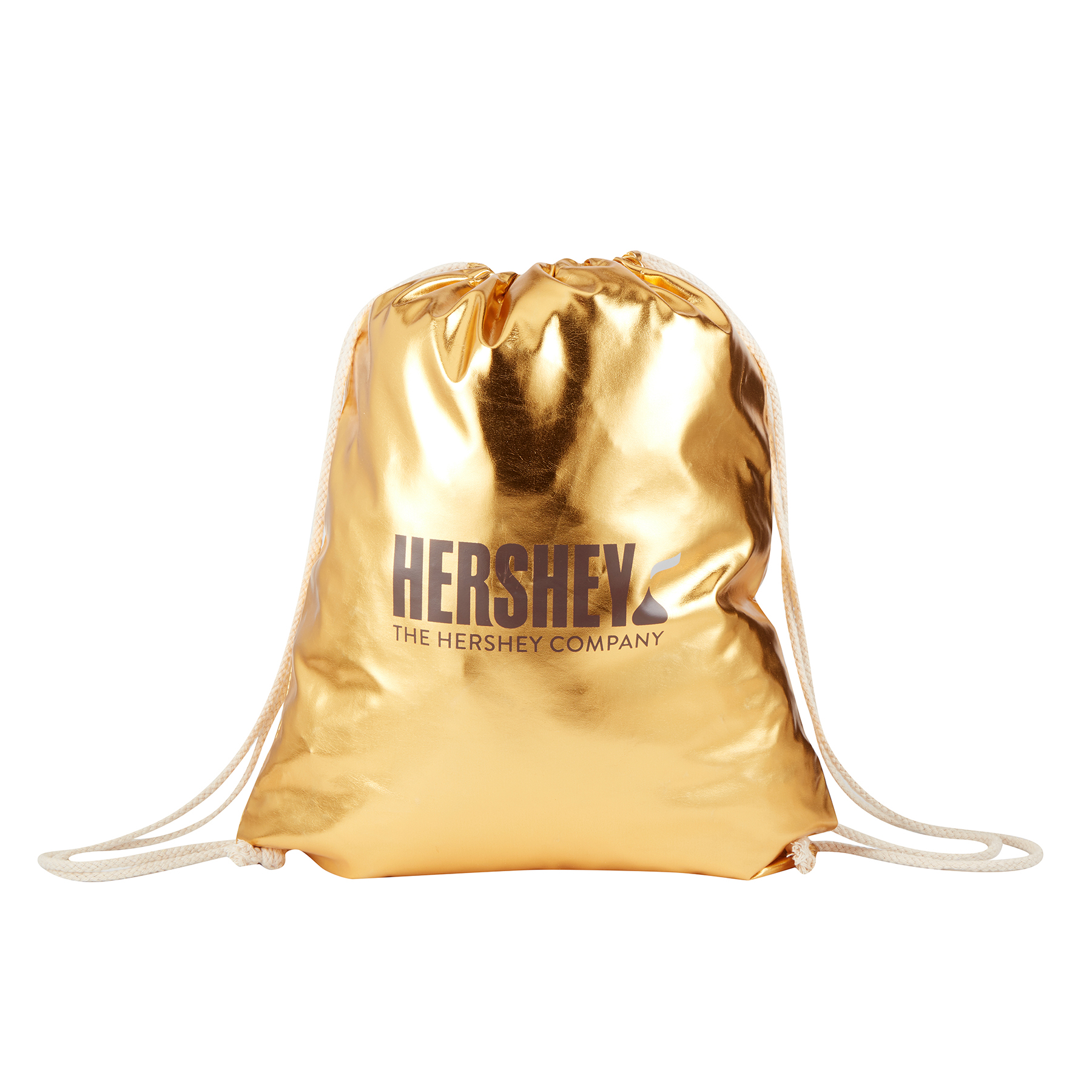 Picture of Metallic Drawstring Backpack