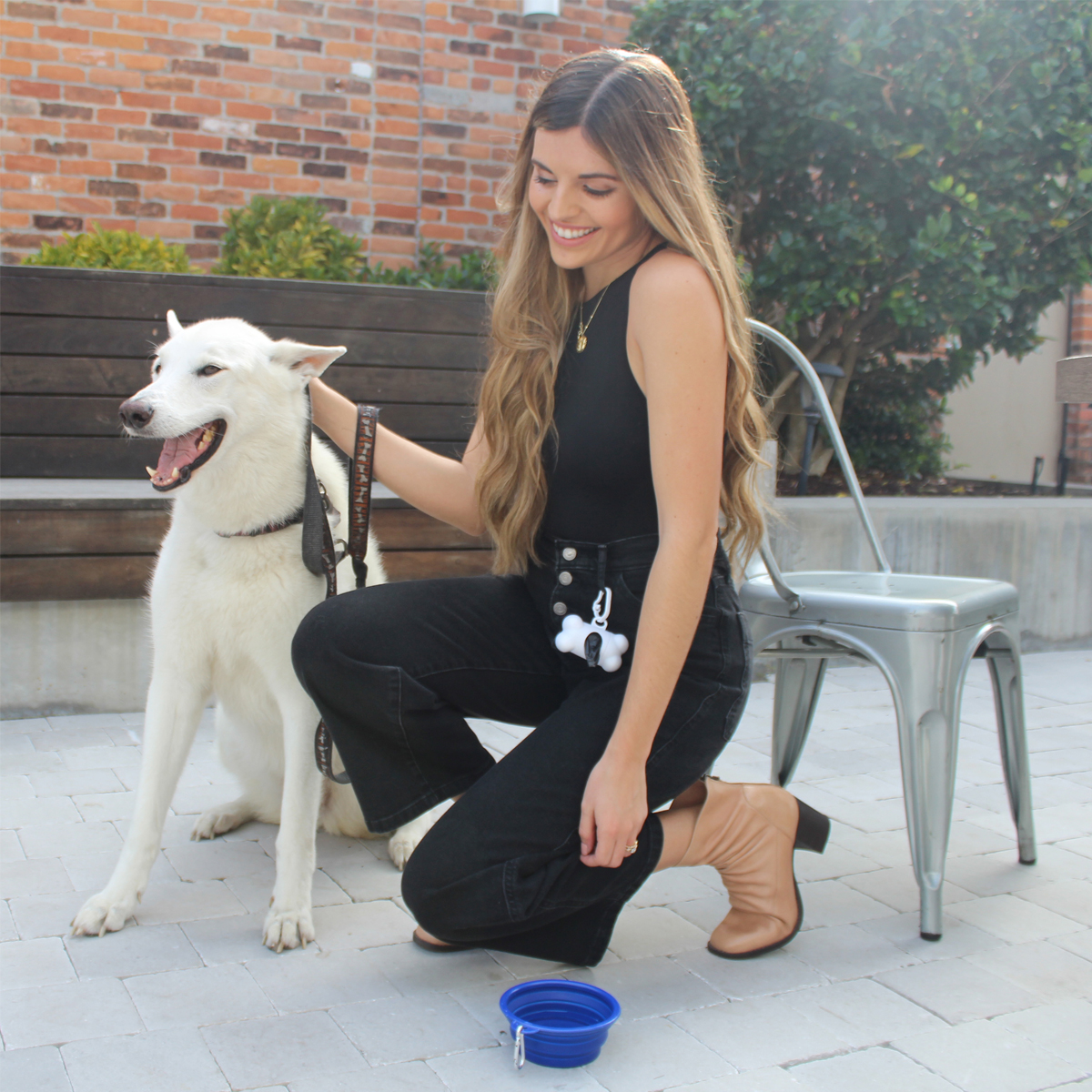 Picture of Collapsible Pet Bowl