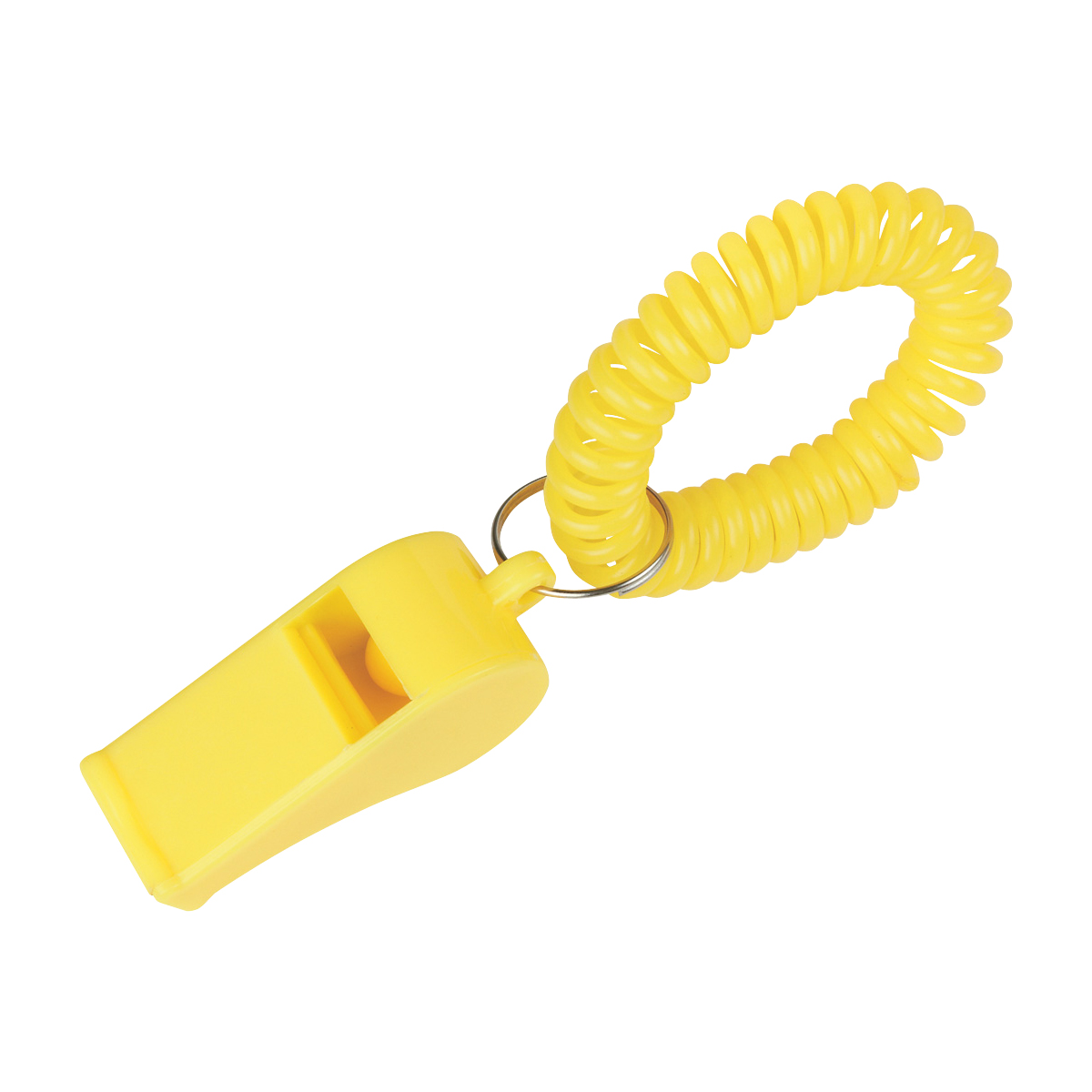 Picture of Whistle With Coil