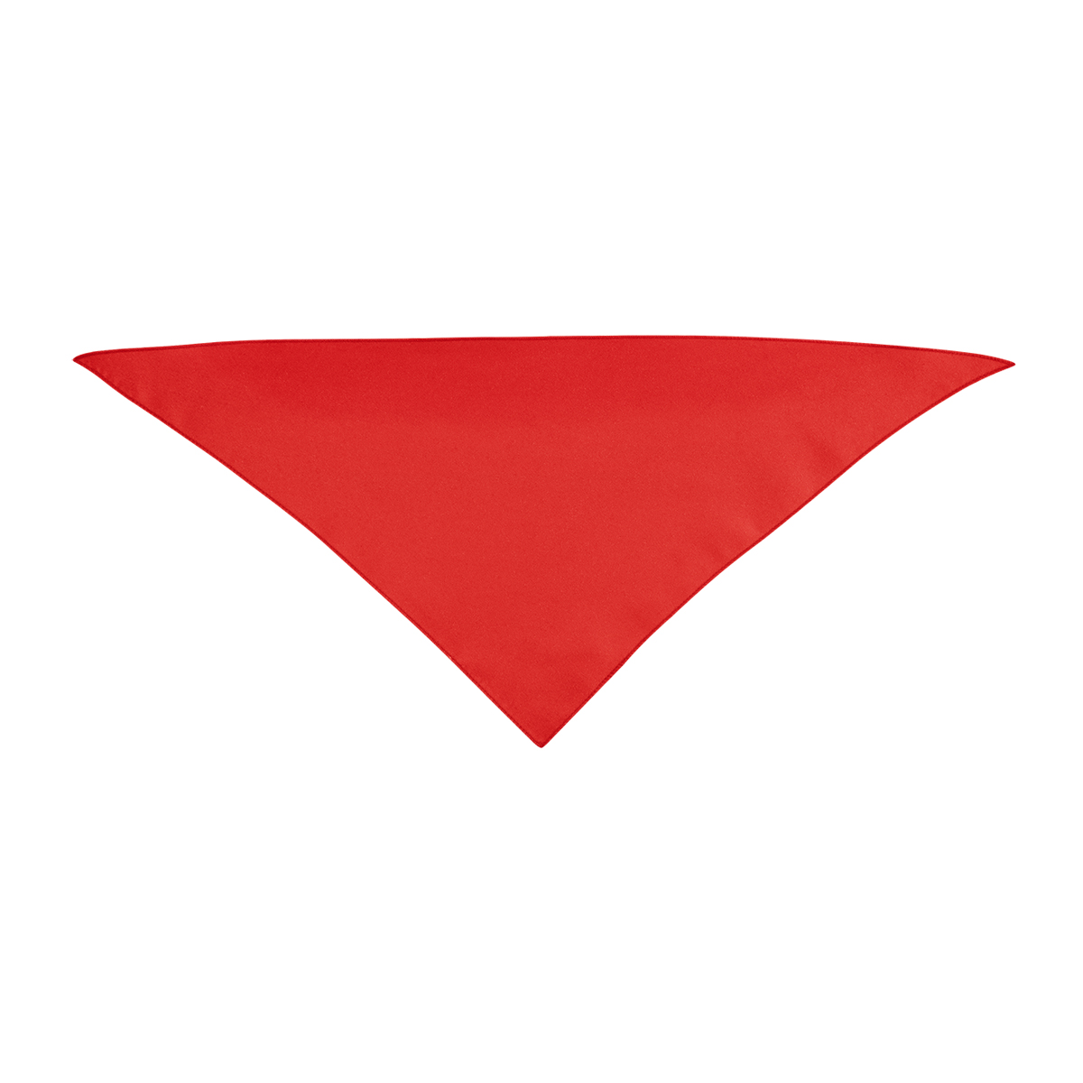 Picture of Small Triangle Rpet Pet Bandana