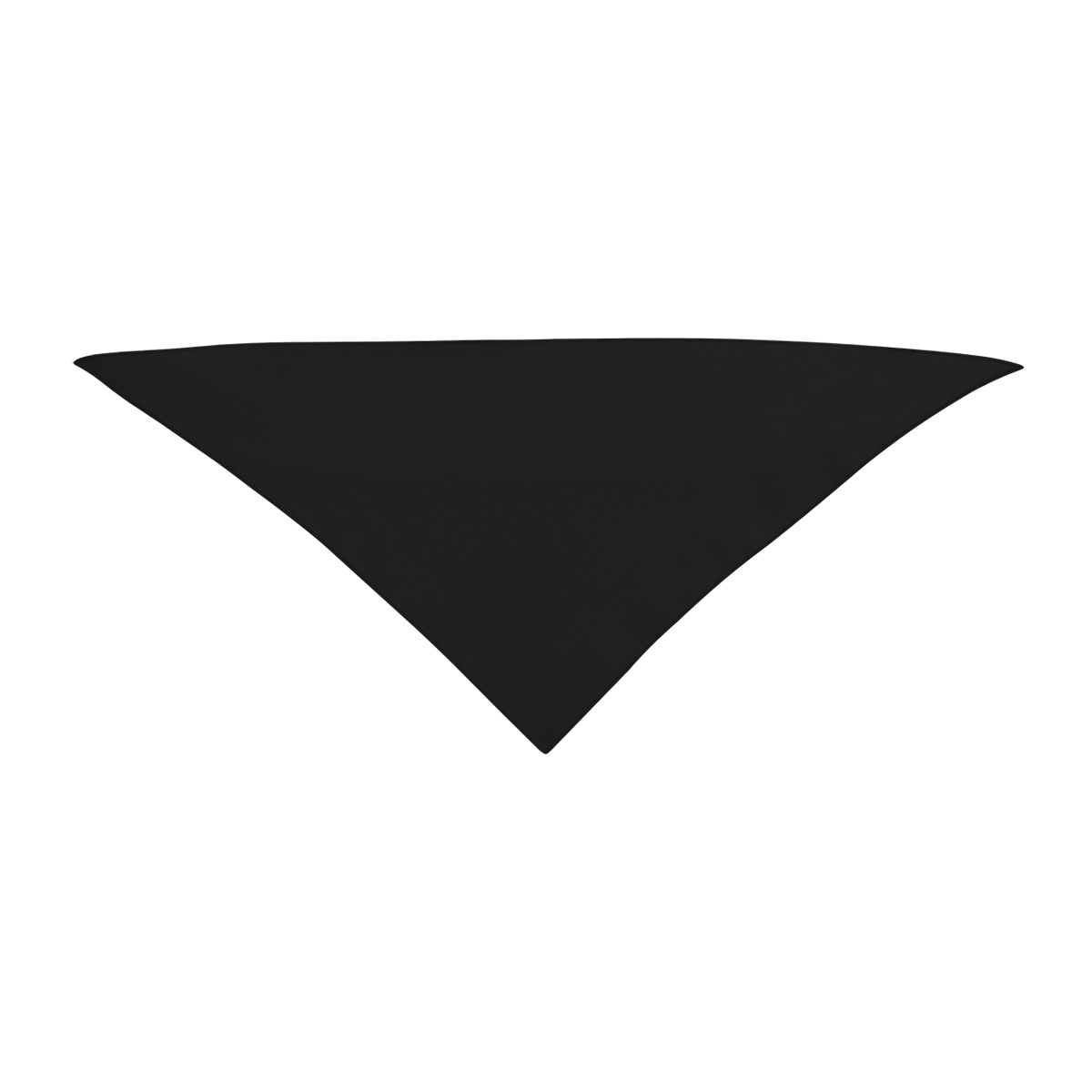Picture of Small Triangle Rpet Pet Bandana