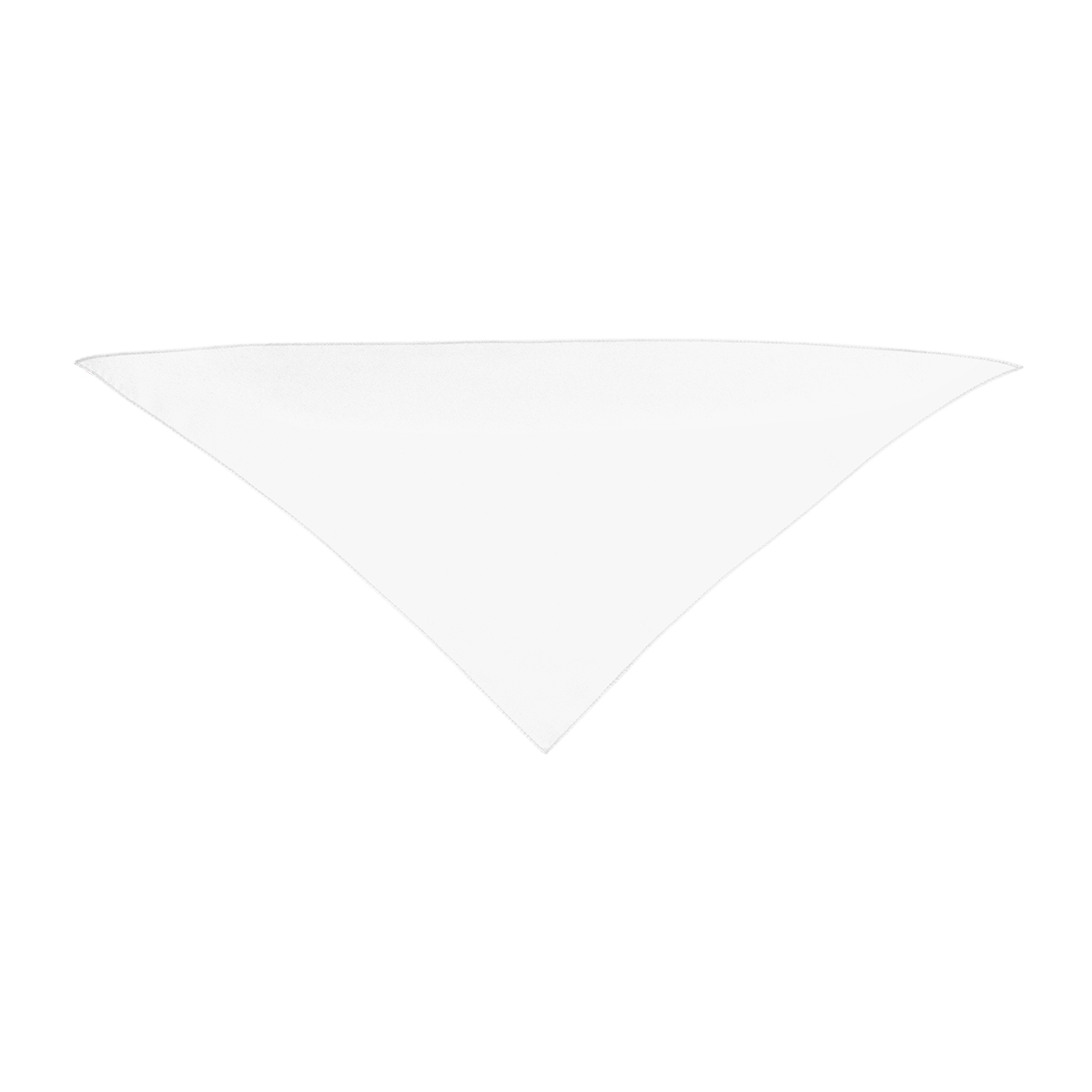 Picture of Small Triangle Rpet Pet Bandana