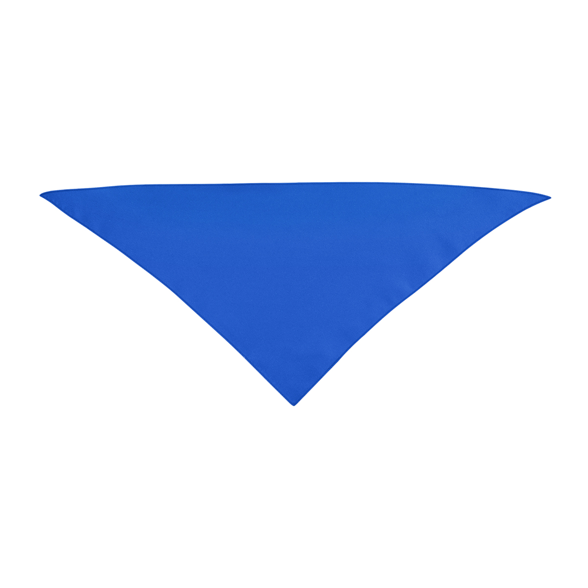 Picture of Small Triangle Rpet Pet Bandana