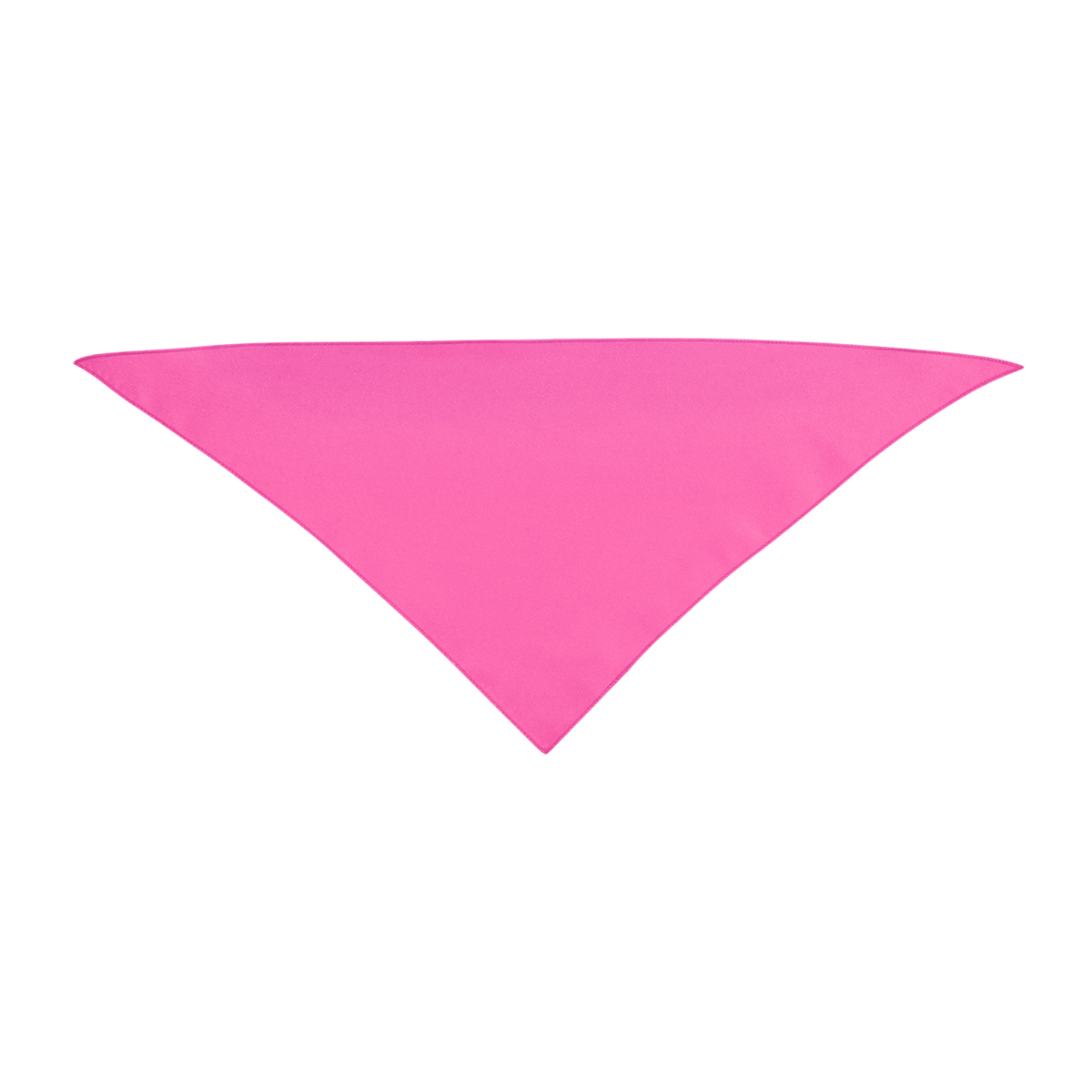 Picture of Small Triangle Rpet Pet Bandana