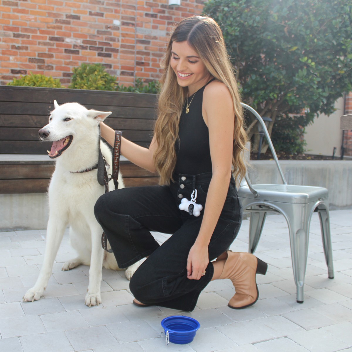 Picture of Bone Shaped Dog Bag Dispenser