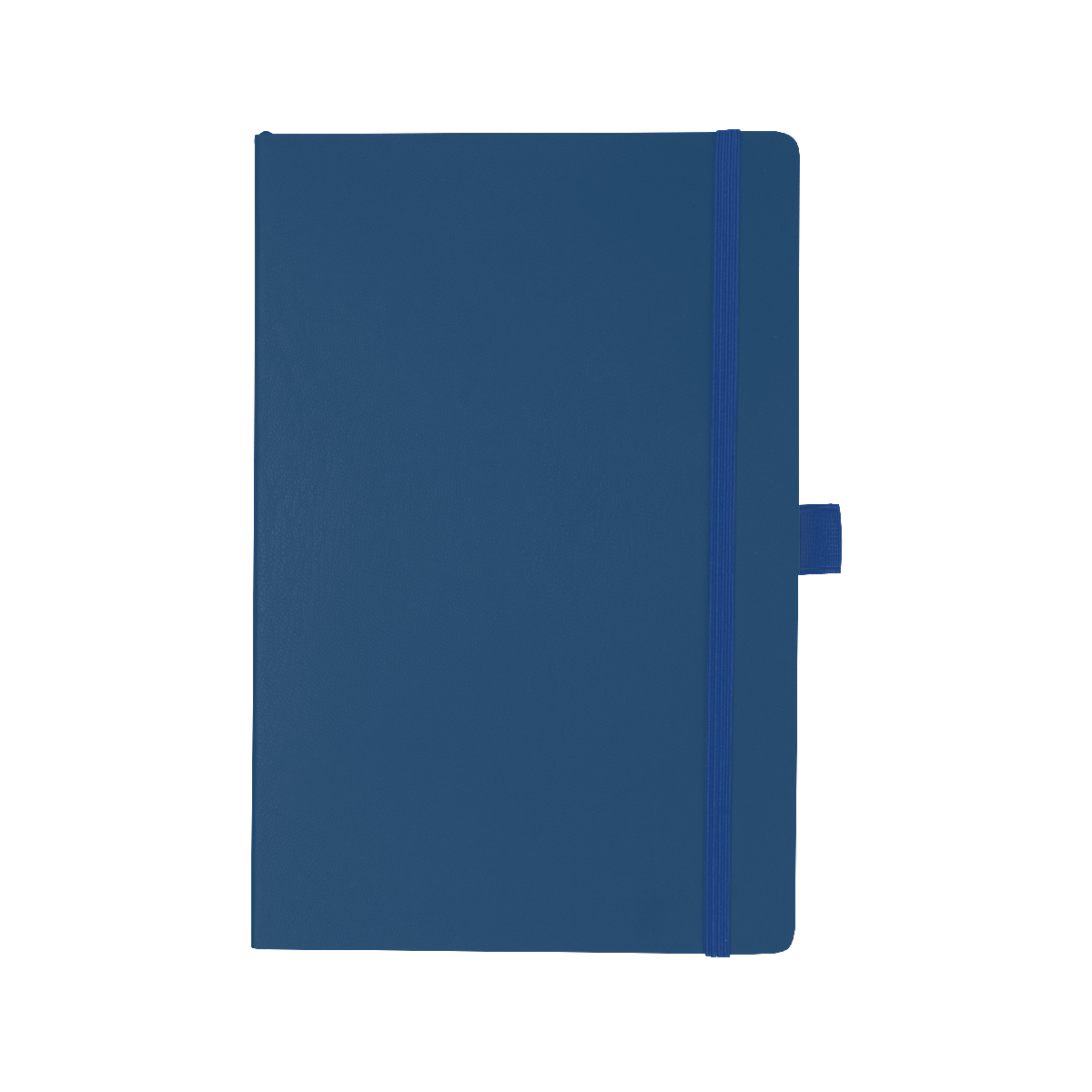 Picture of Apple Skin Journal