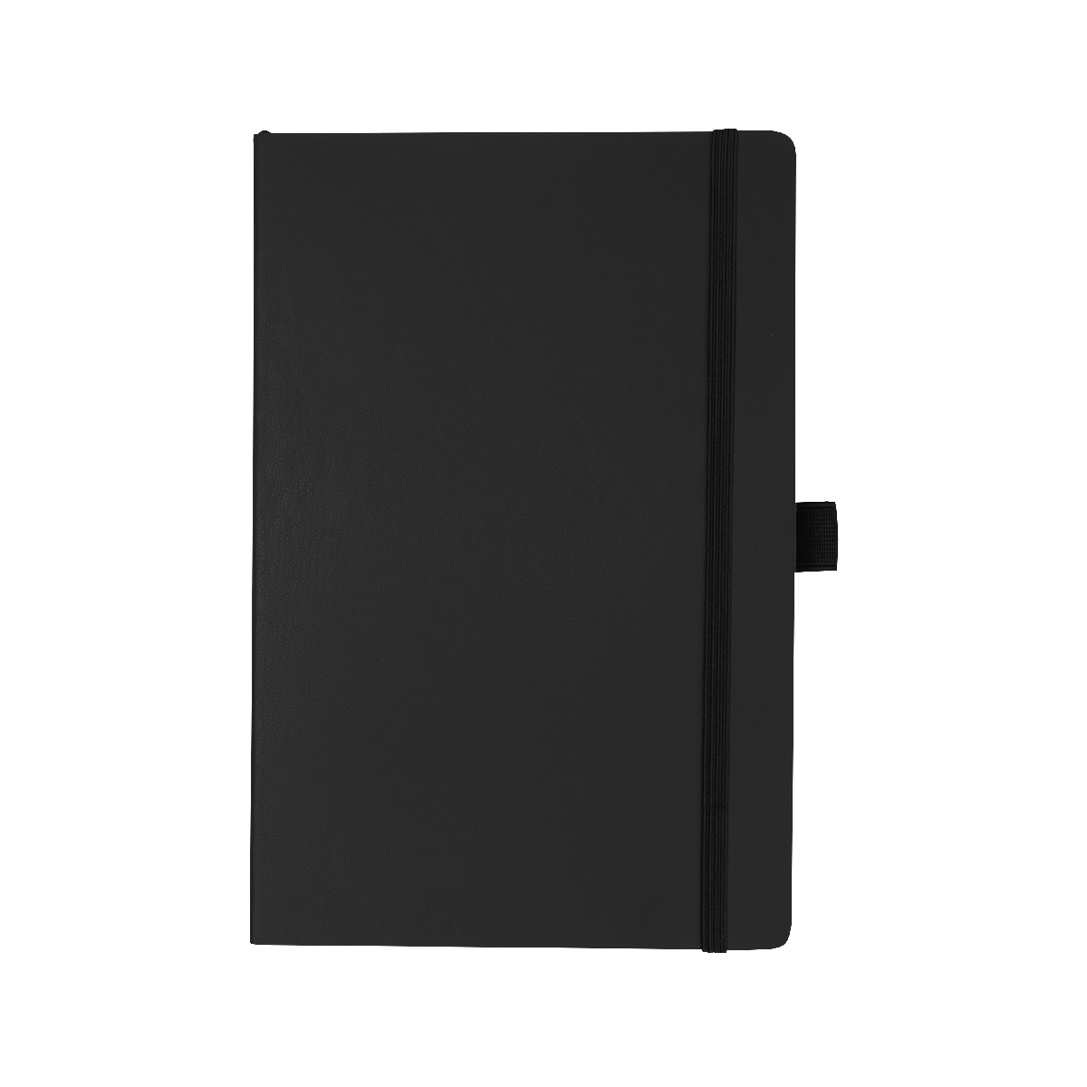 Picture of Apple Skin Journal