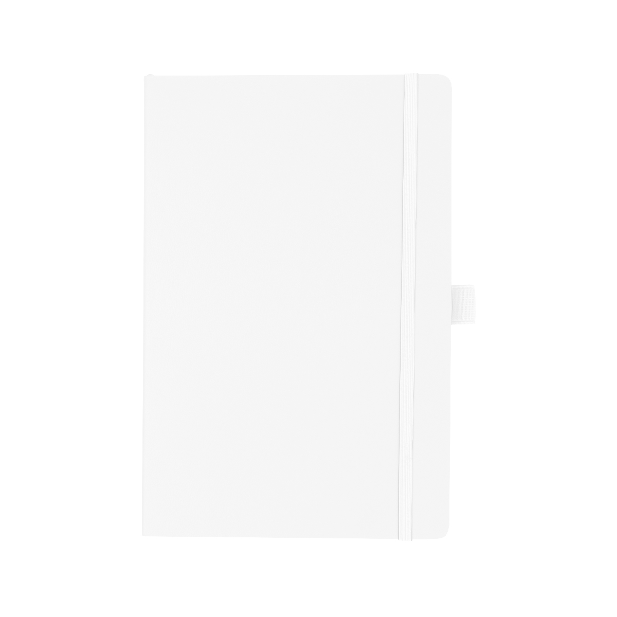 Picture of Apple Skin Journal