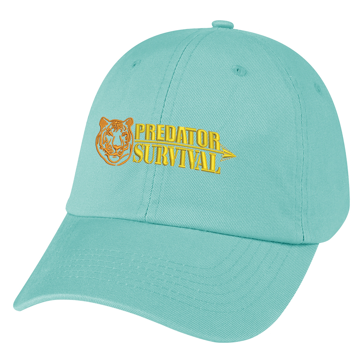 Picture of Washed Cotton Cap