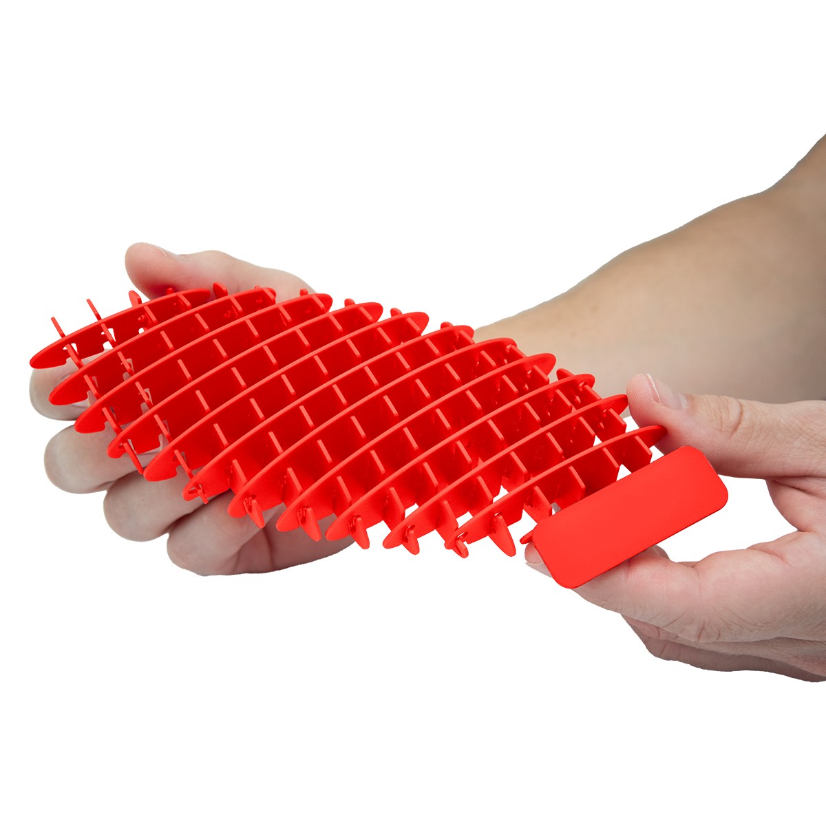 Picture of Fidget Sensory Worm