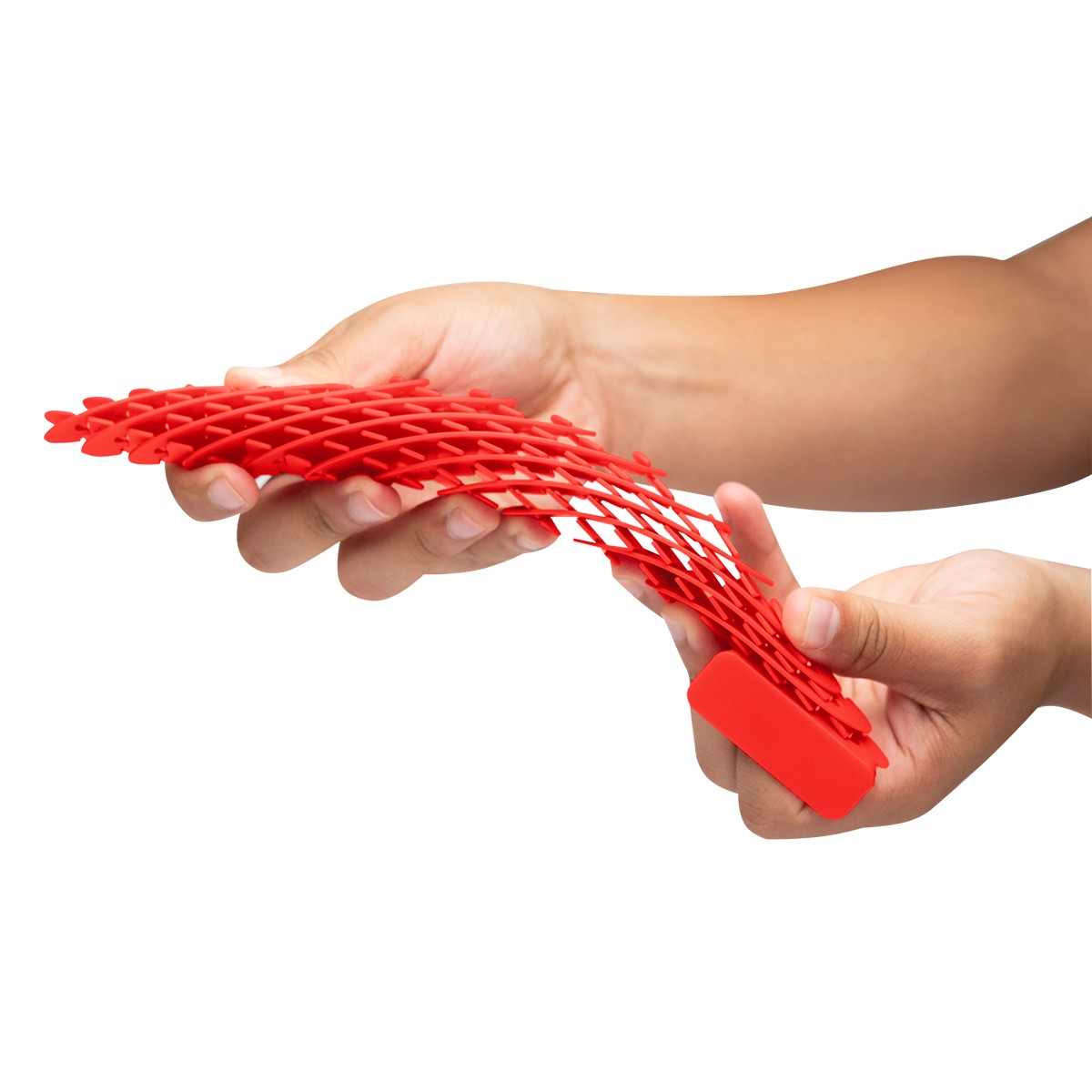 Picture of Fidget Sensory Worm