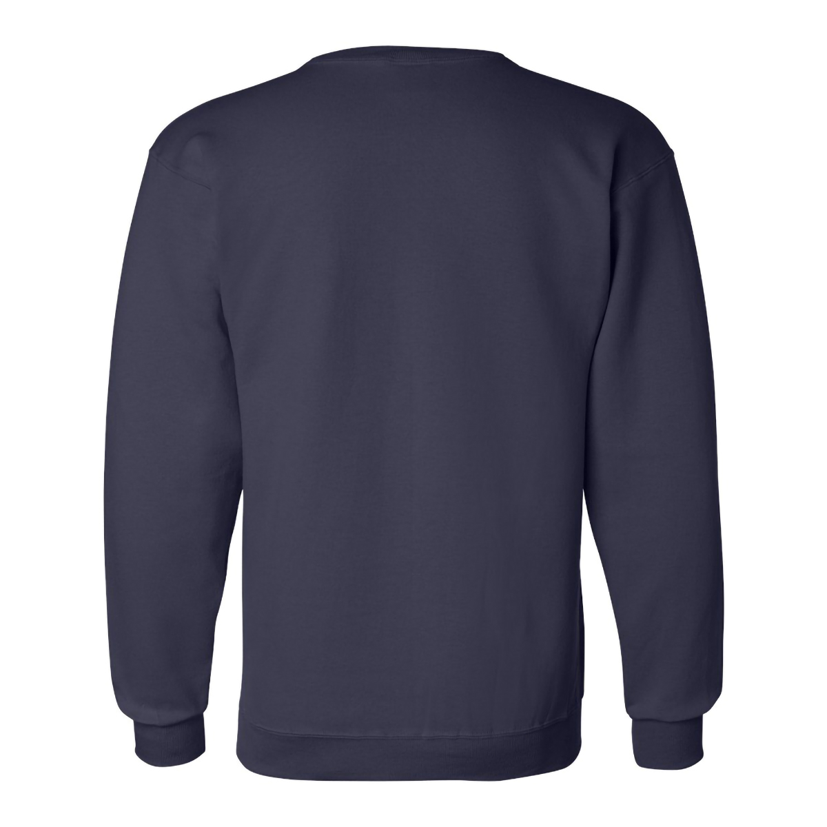 Picture of Champion Double Dry Eco Crewneck Sweatshirt