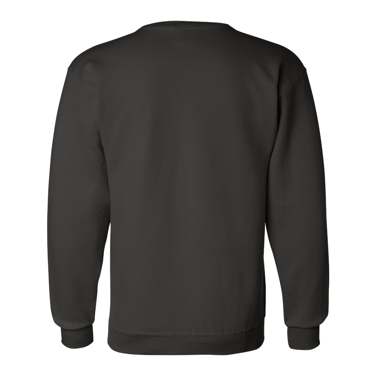 Picture of Champion Double Dry Eco Crewneck Sweatshirt